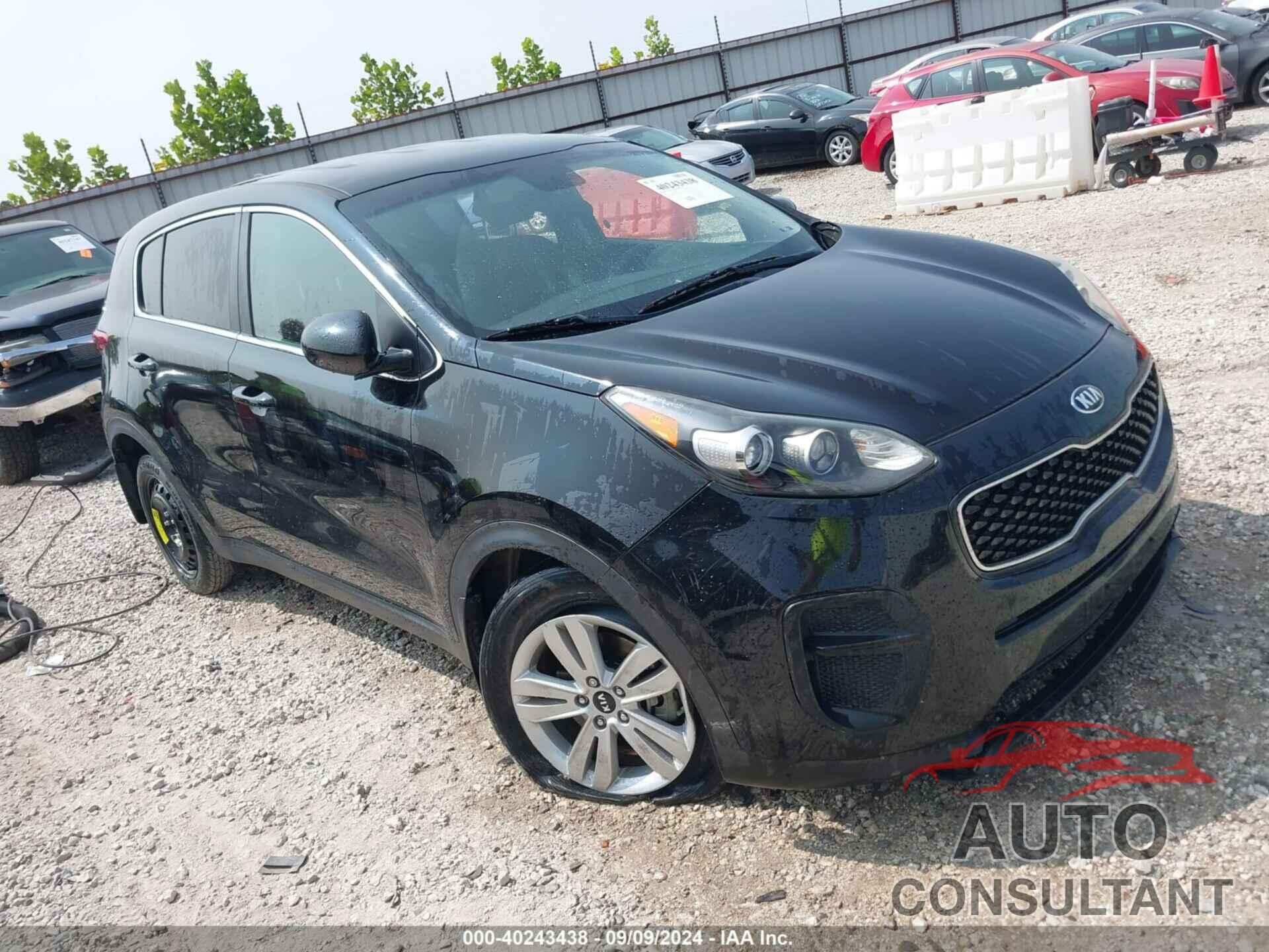 KIA SPORTAGE 2017 - KNDPM3AC6H7232585