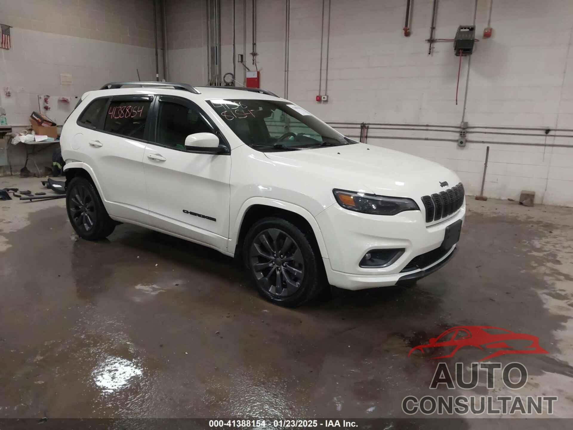 JEEP CHEROKEE 2019 - 1C4PJMDX9KD460862