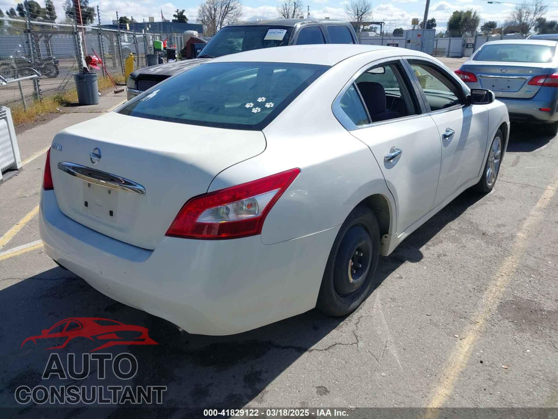NISSAN MAXIMA 2009 - 1N4AA51EX9C815431