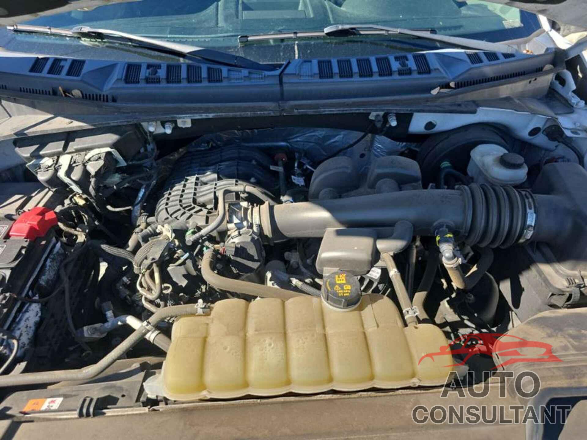 FORD F150 2019 - 1FTEW1CB5KFC16742