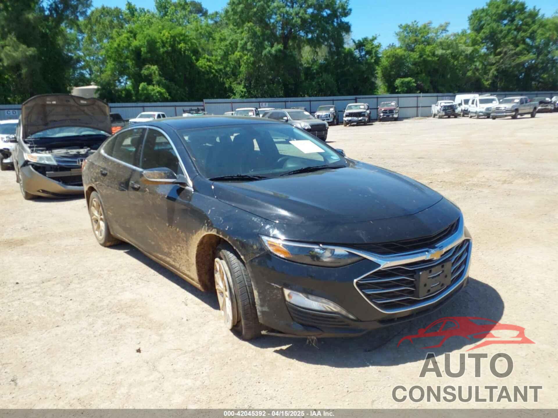CHEVROLET MALIBU 2021 - 1G1ZD5ST0MF025816