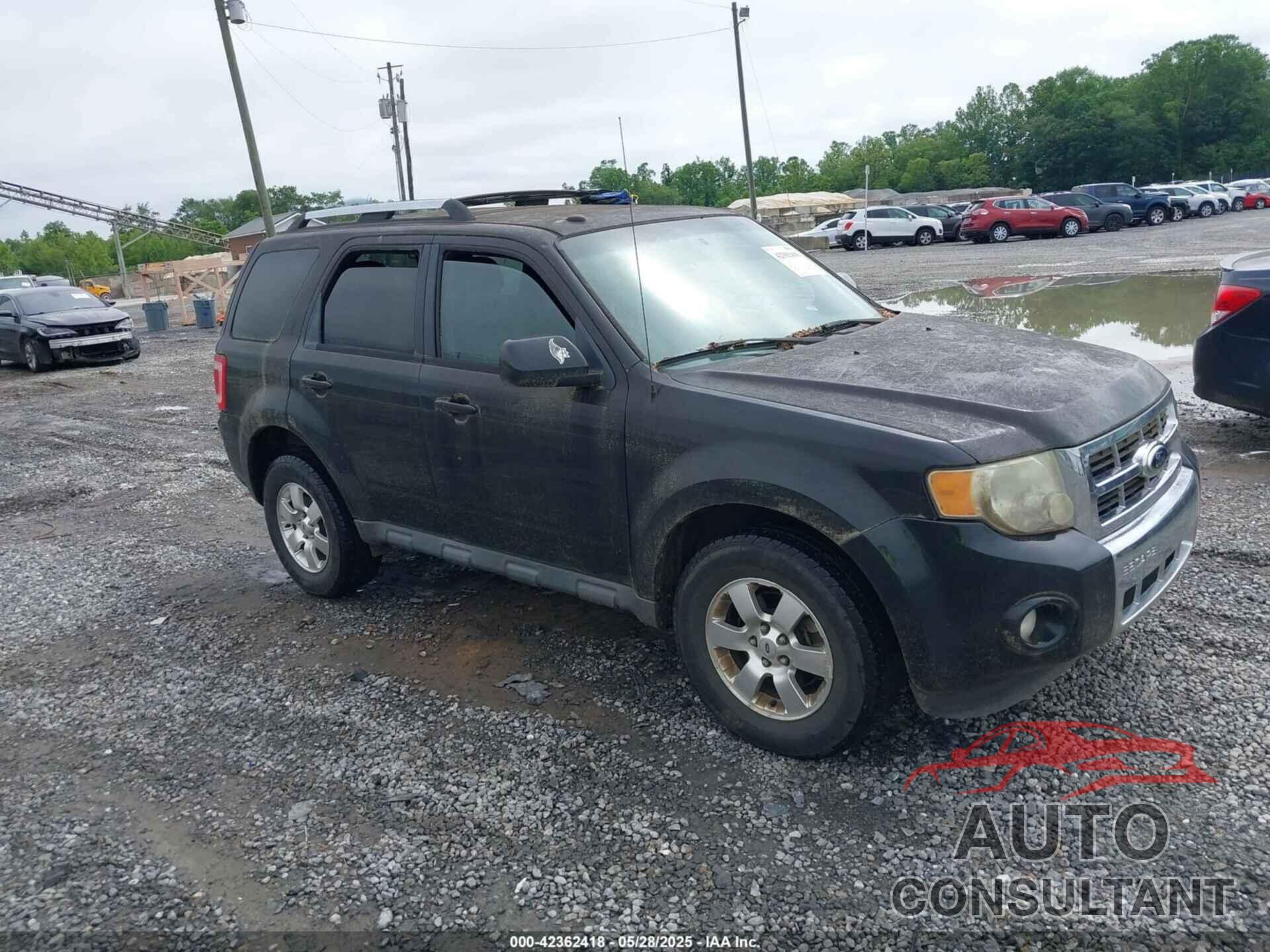 FORD ESCAPE 2011 - 1FMCU0EG8BKB85067