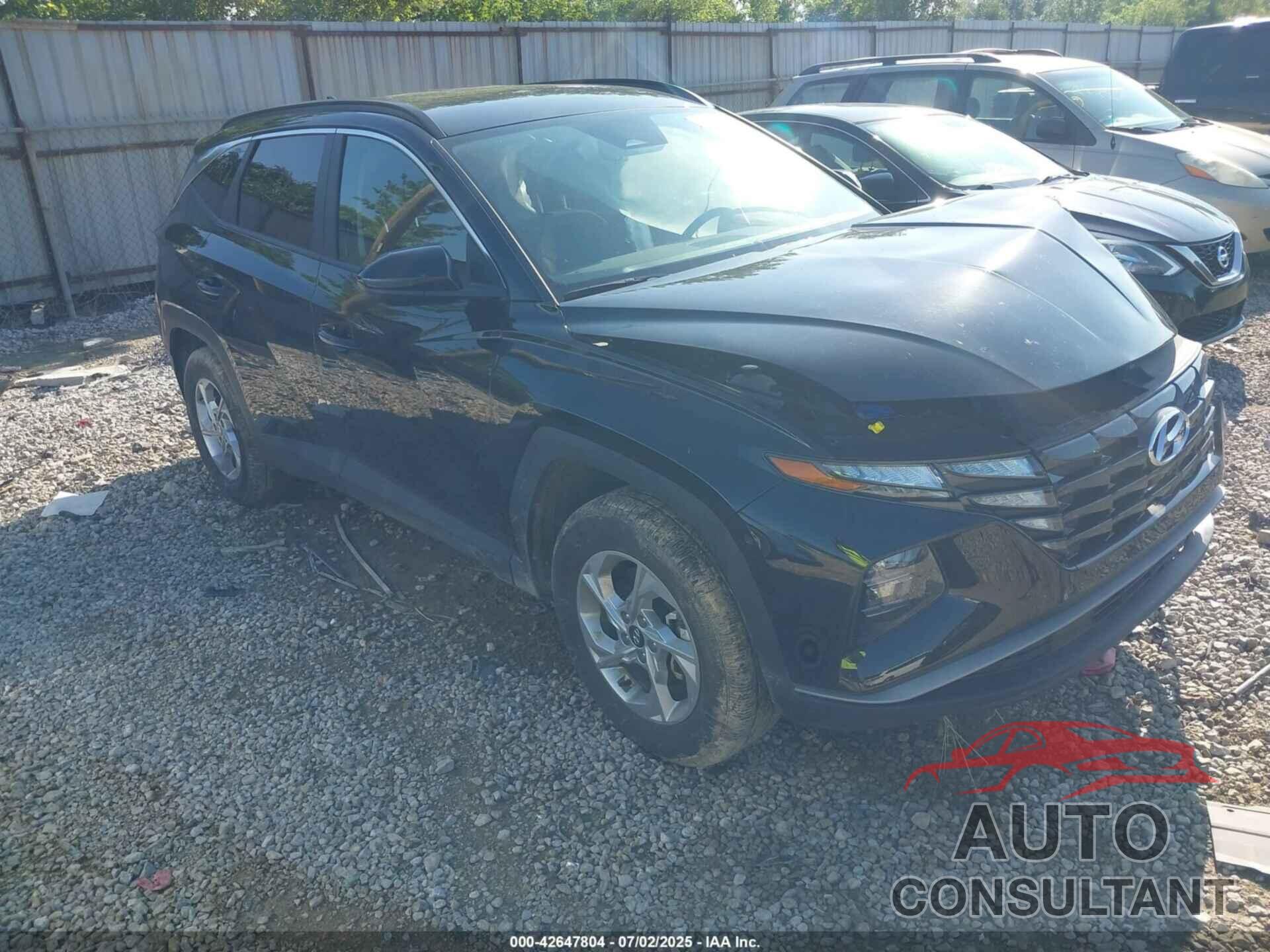 HYUNDAI TUCSON 2024 - 5NMJBCDEXRH415216