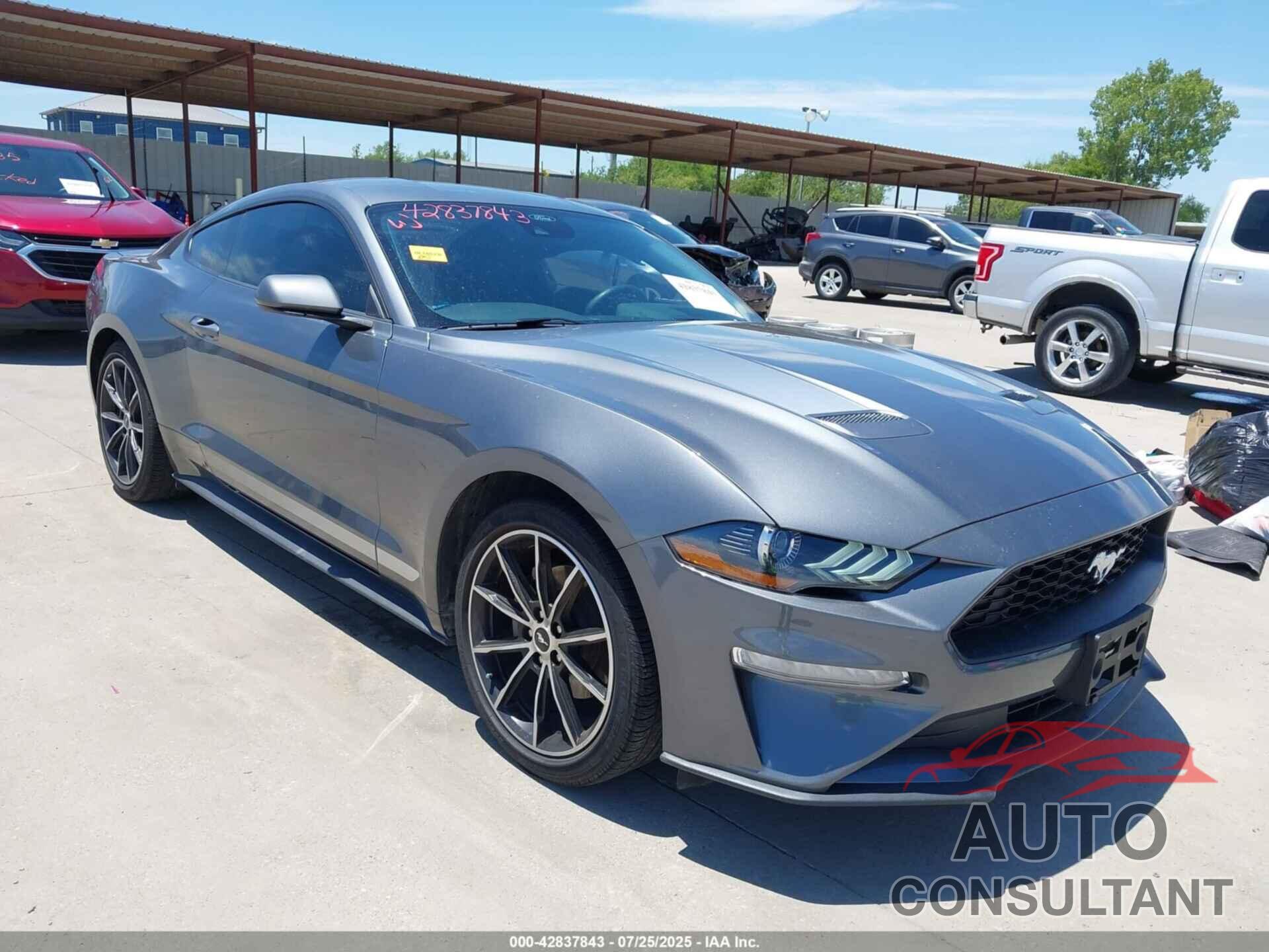 FORD MUSTANG 2022 - 1FA6P8TH9N5146547
