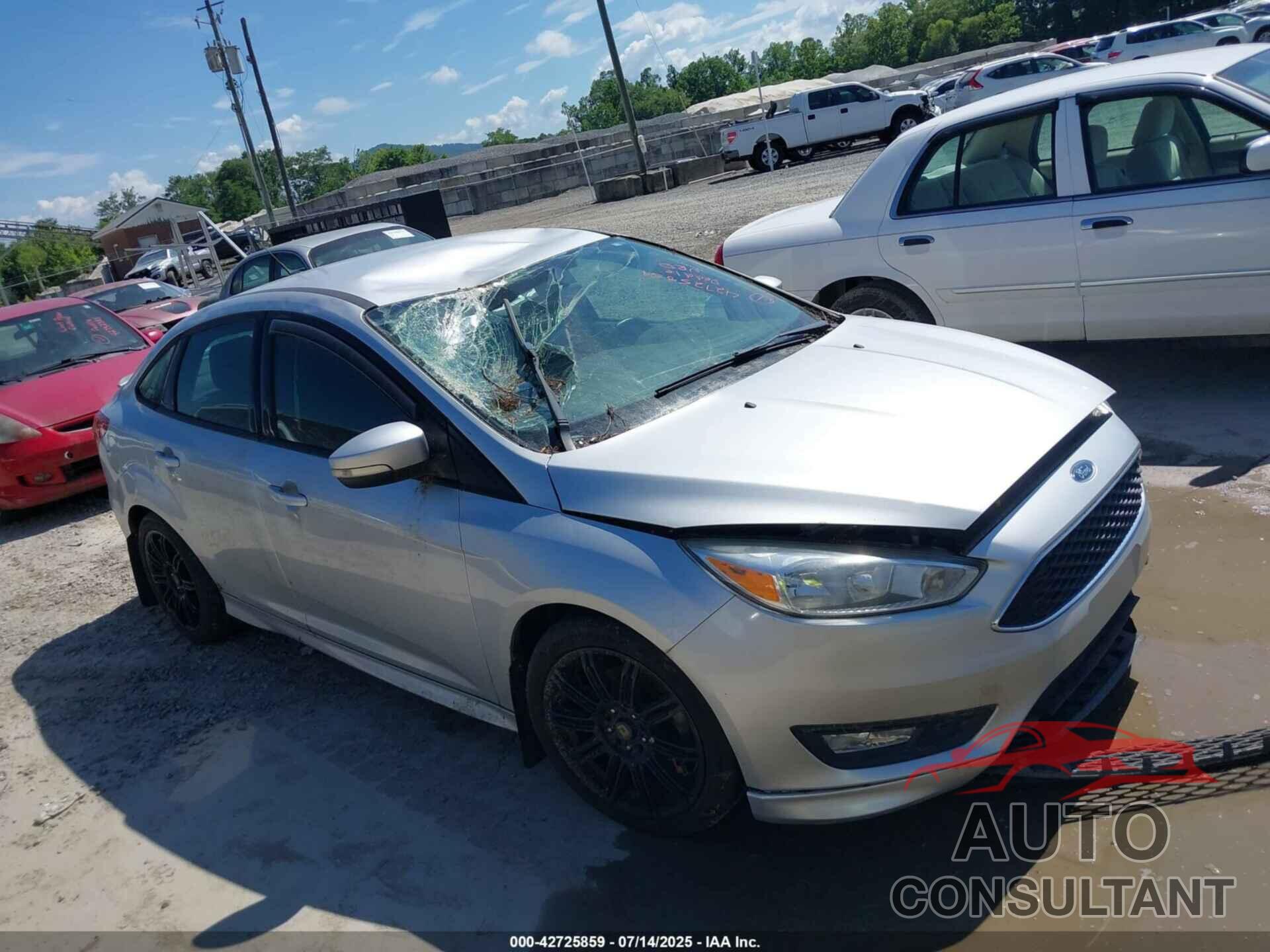 FORD FOCUS 2016 - 1FADP3F26GL296597