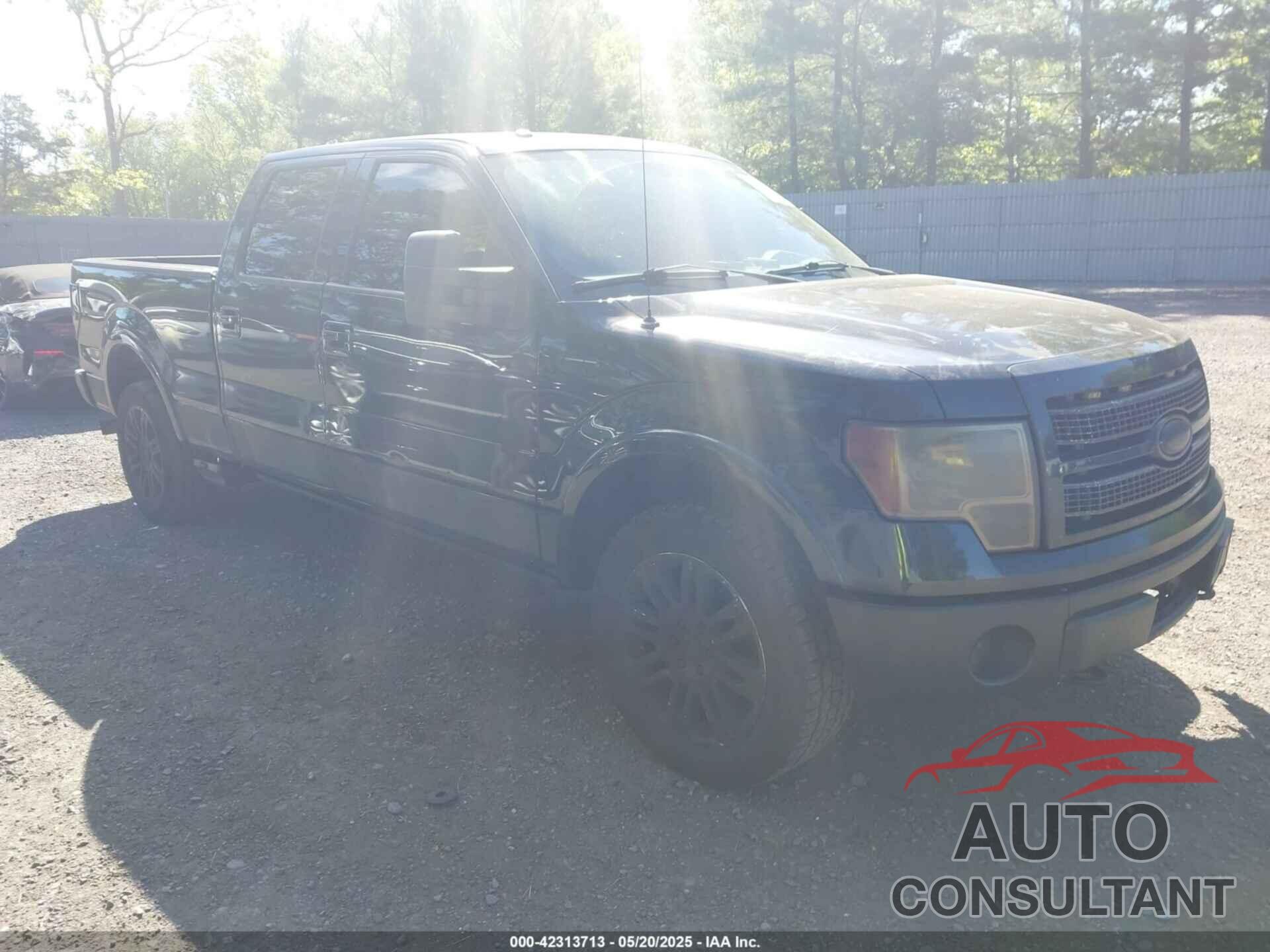 FORD F-150 2011 - 1FTFW1ET0BFA54237