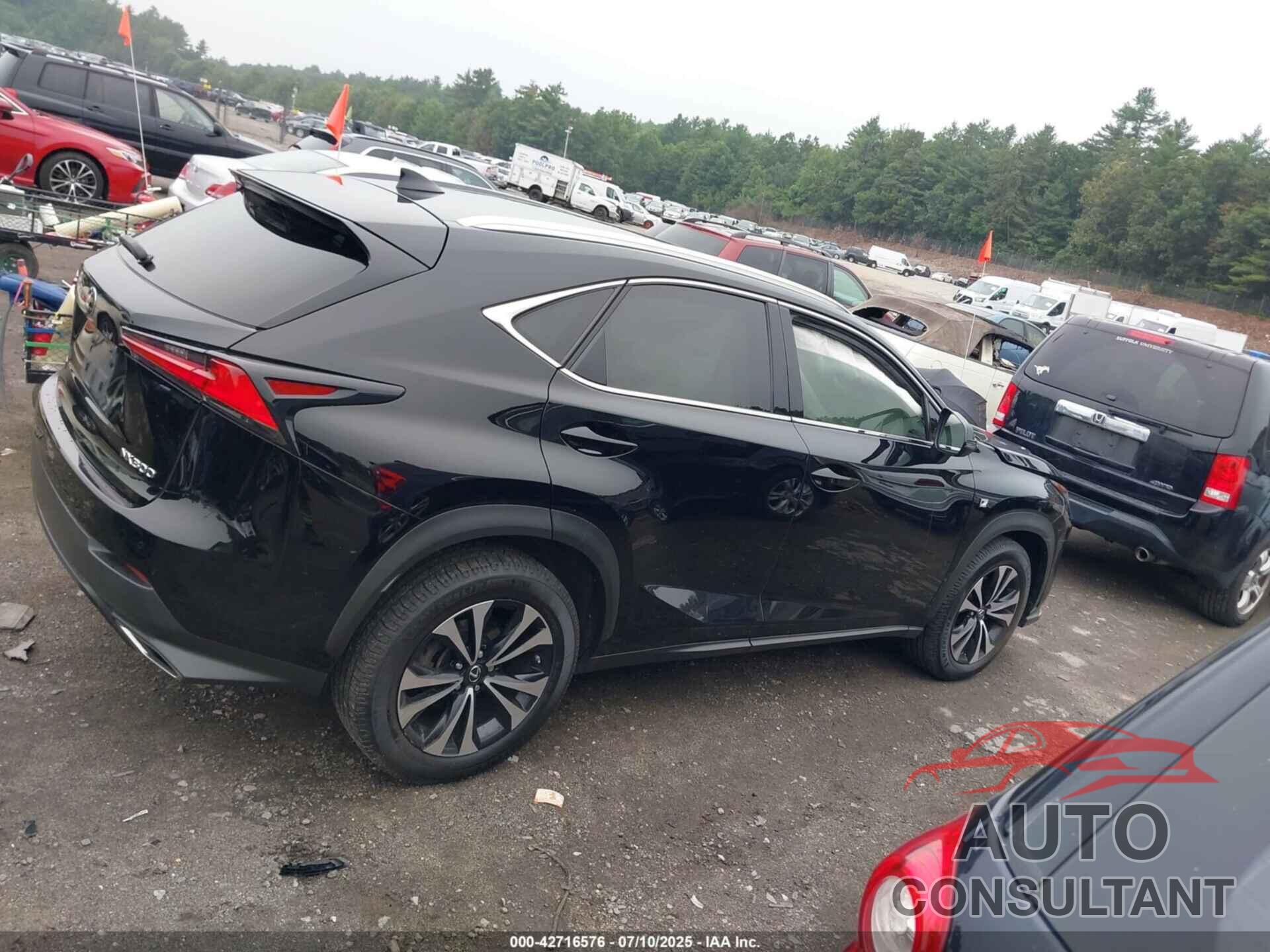 LEXUS NX 300 2020 - JTJSARDZ9L5008931