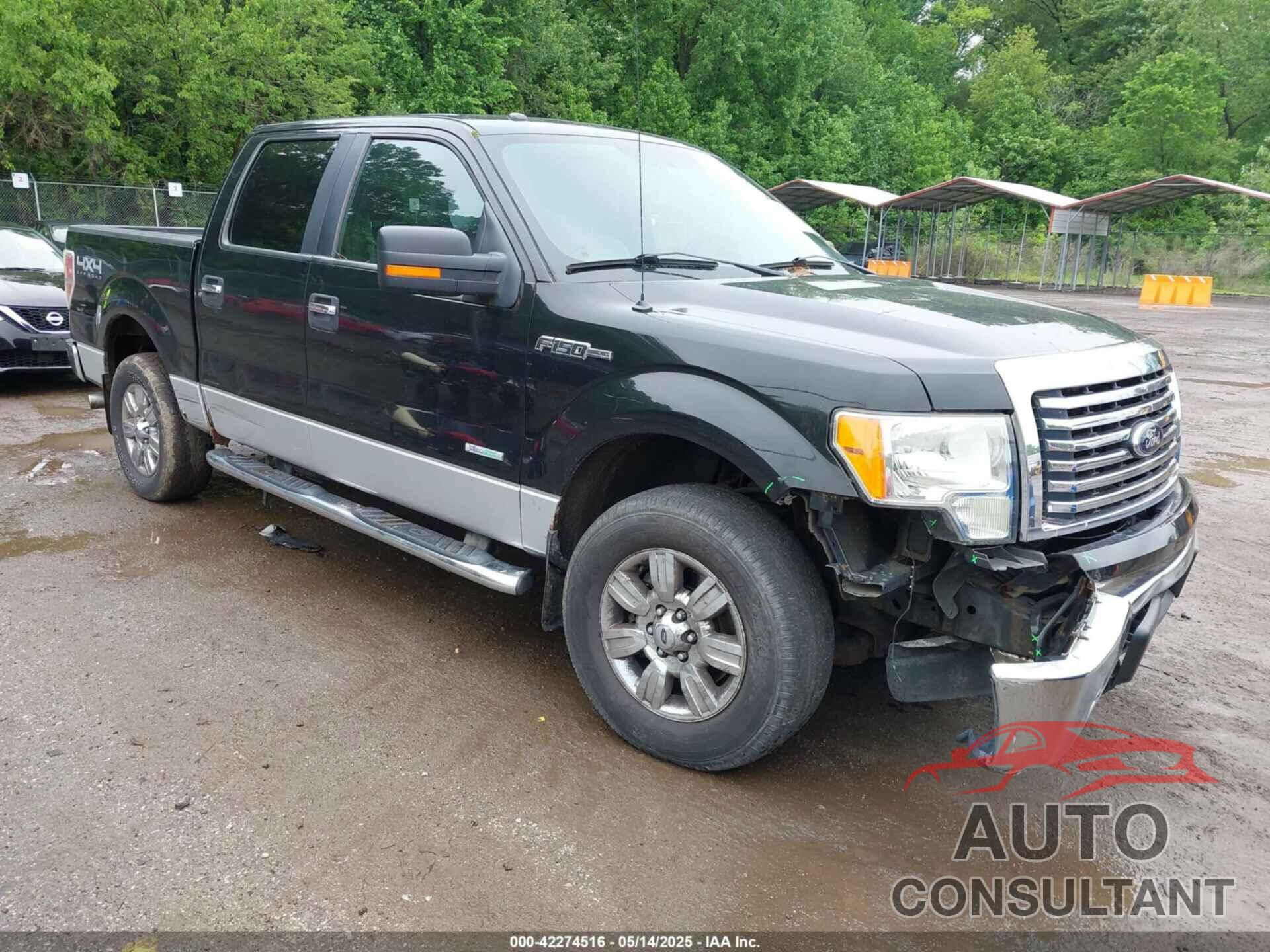 FORD F-150 2012 - 1FTFW1ET1CFA91539