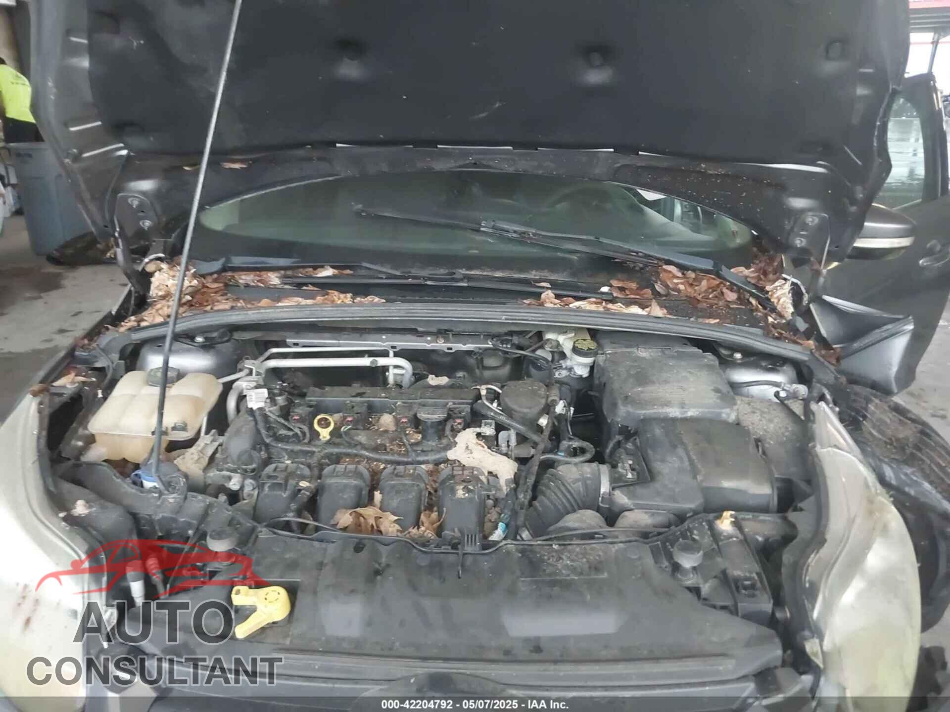 FORD FOCUS 2014 - 1FADP3F21EL249281