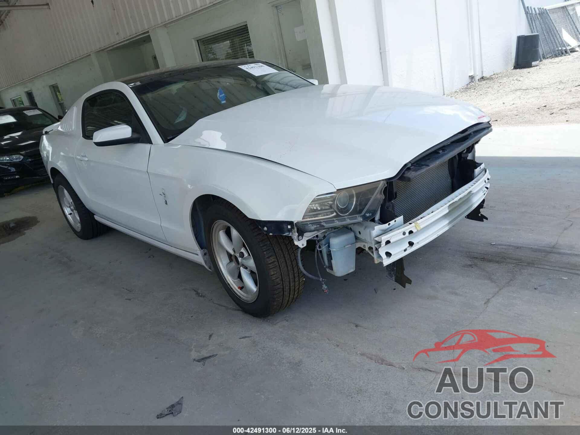 FORD MUSTANG 2014 - 1ZVBP8AMXE5248106