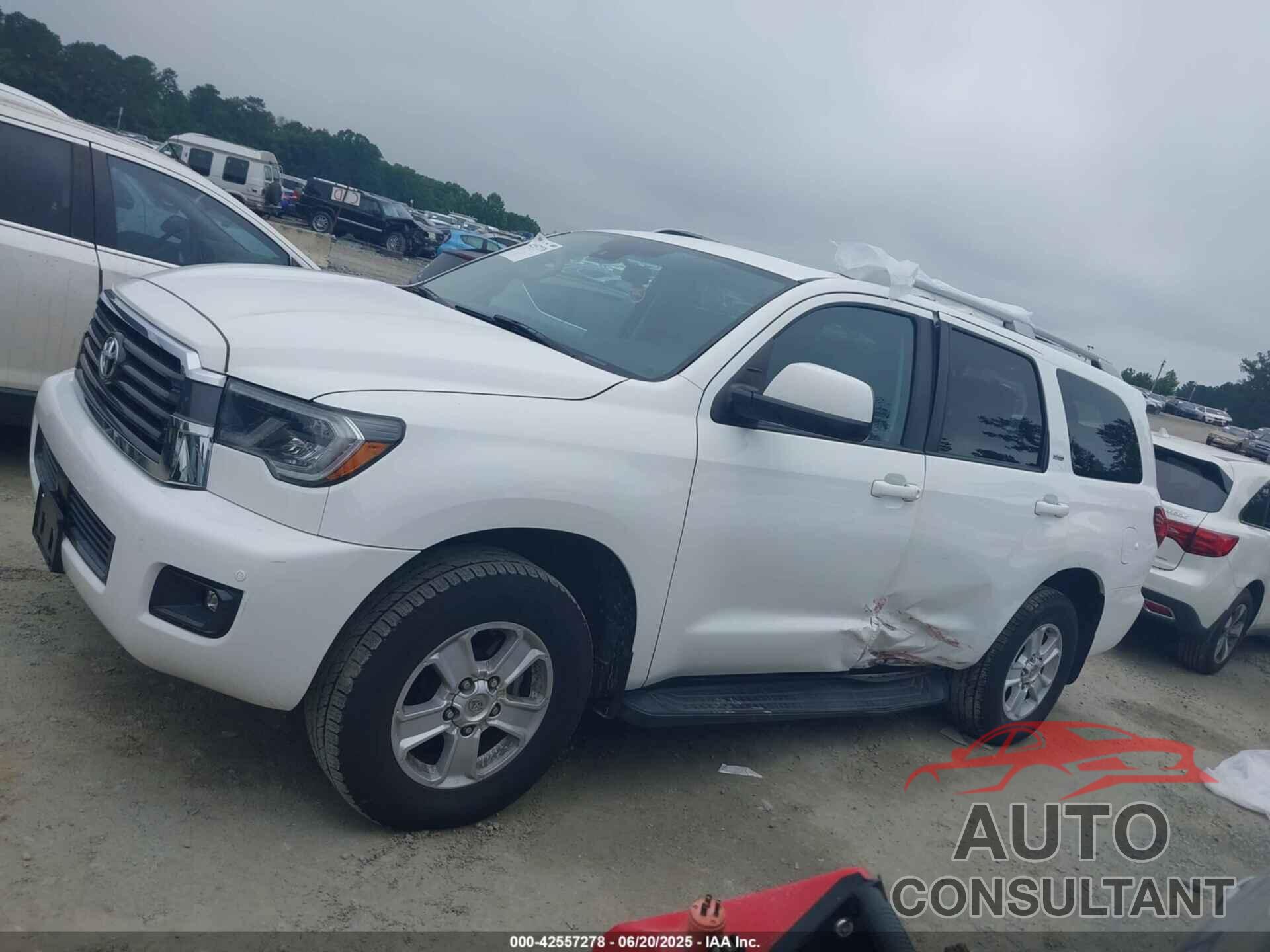 TOYOTA SEQUOIA 2019 - 5TDBY5G16KS170151