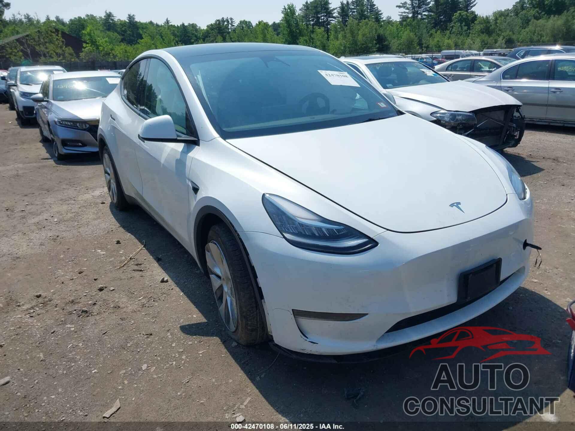 TESLA MODEL Y 2023 - 7SAYGDEE5PA126165