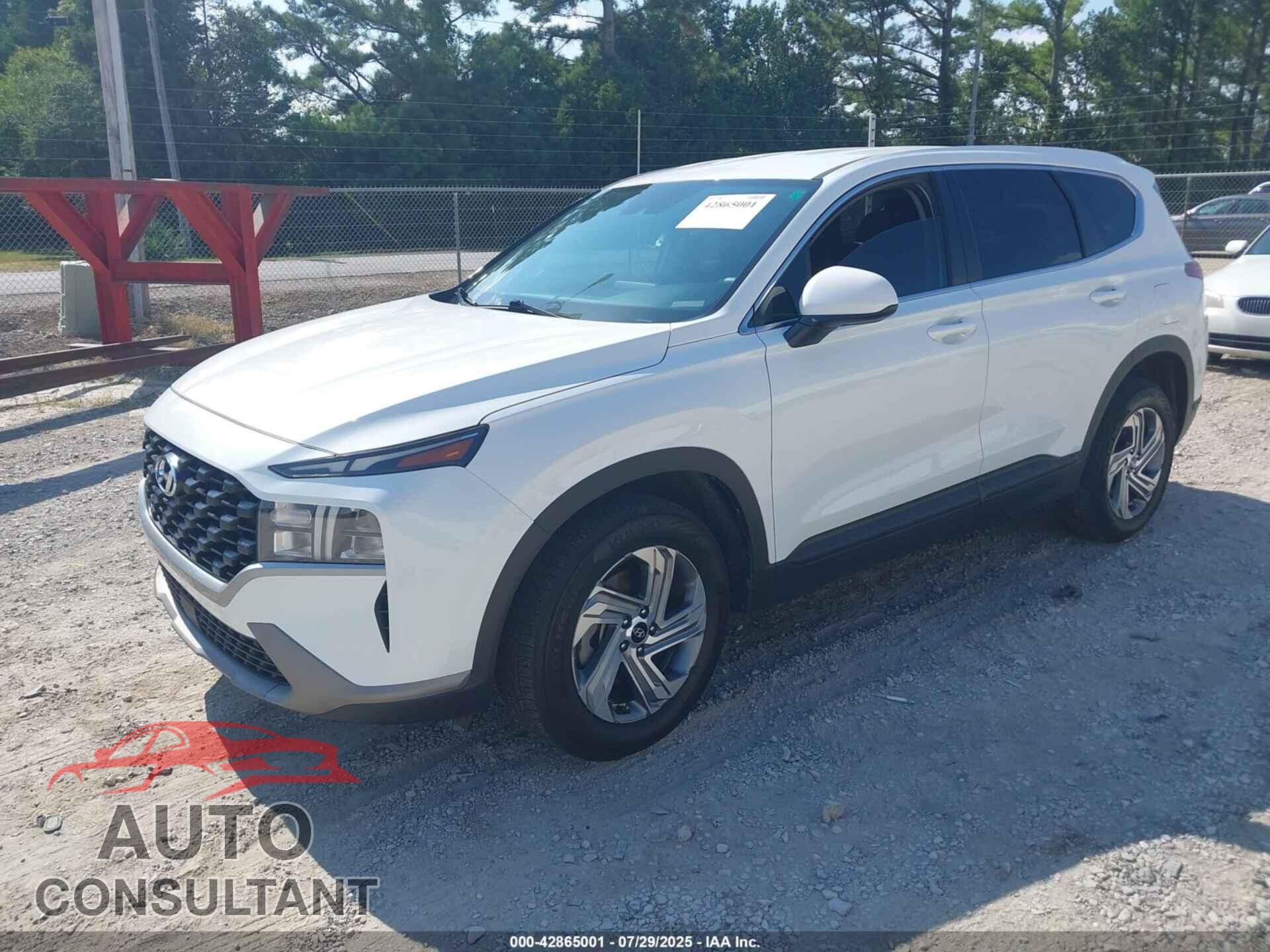 HYUNDAI SANTA FE 2023 - 5NMS14AJ6PH497702