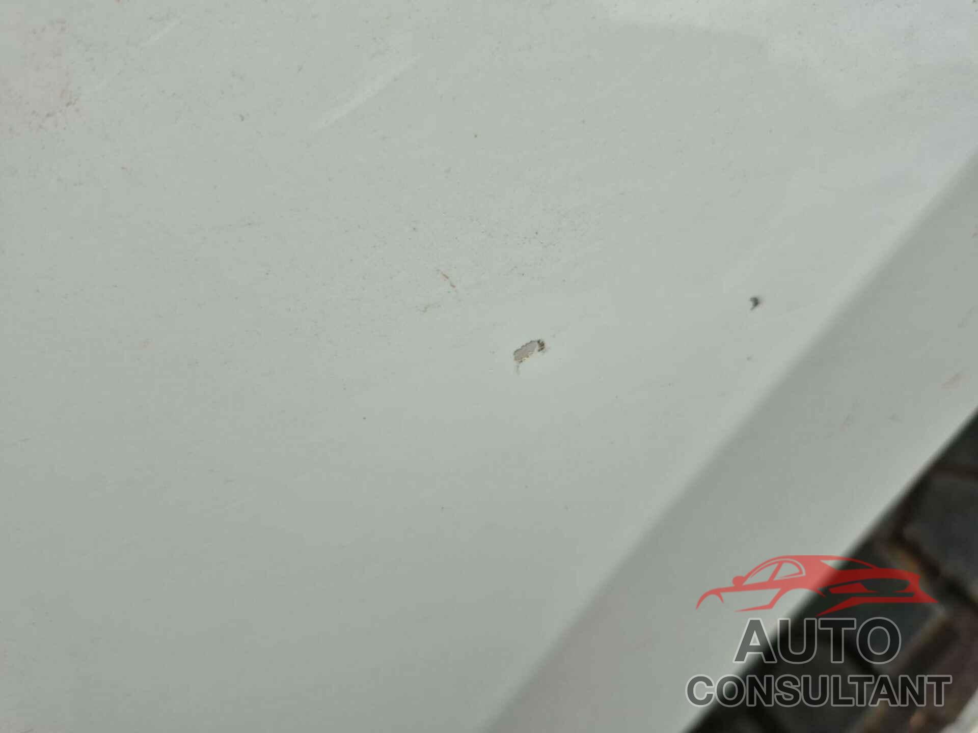 FORD F250 2019 - 1FT7X2B64KEG11615