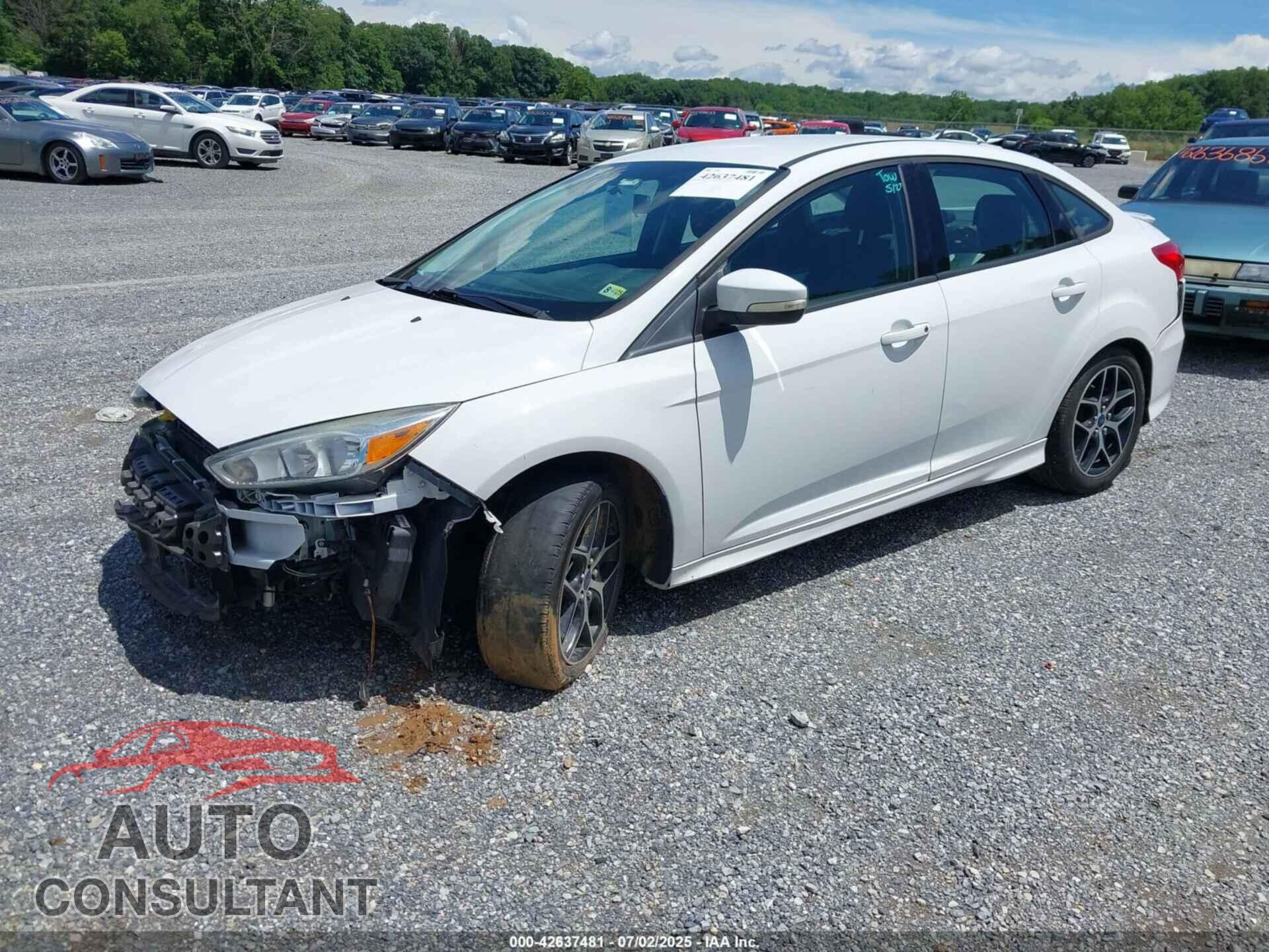 FORD FOCUS 2015 - 1FADP3F20FL346117