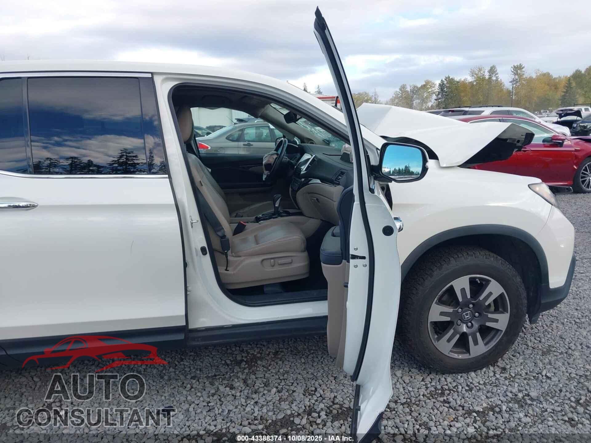 HONDA RIDGELINE 2019 - 5FPYK3F75KB007587