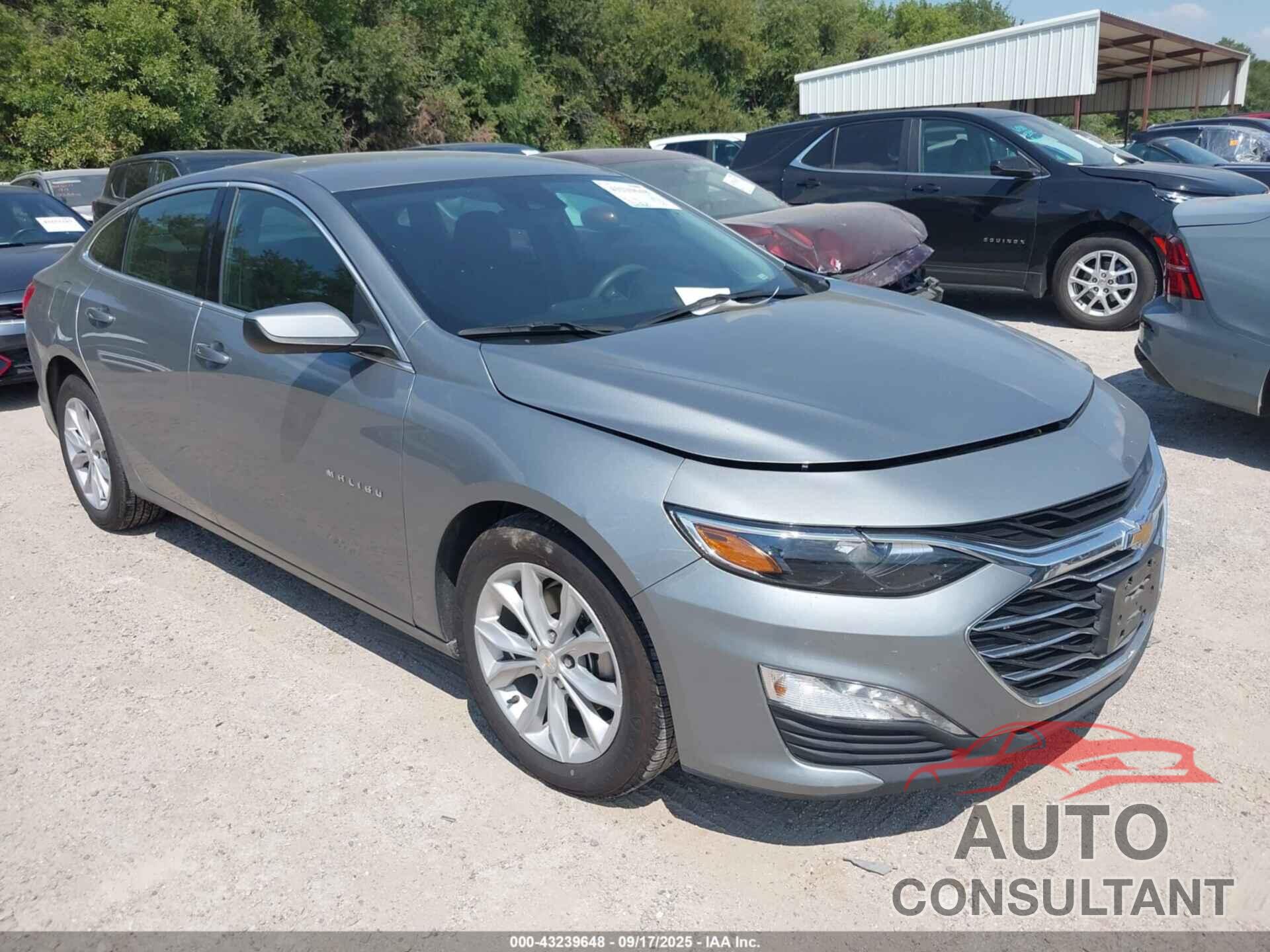 CHEVROLET MALIBU 2024 - 1G1ZD5ST4RF222091