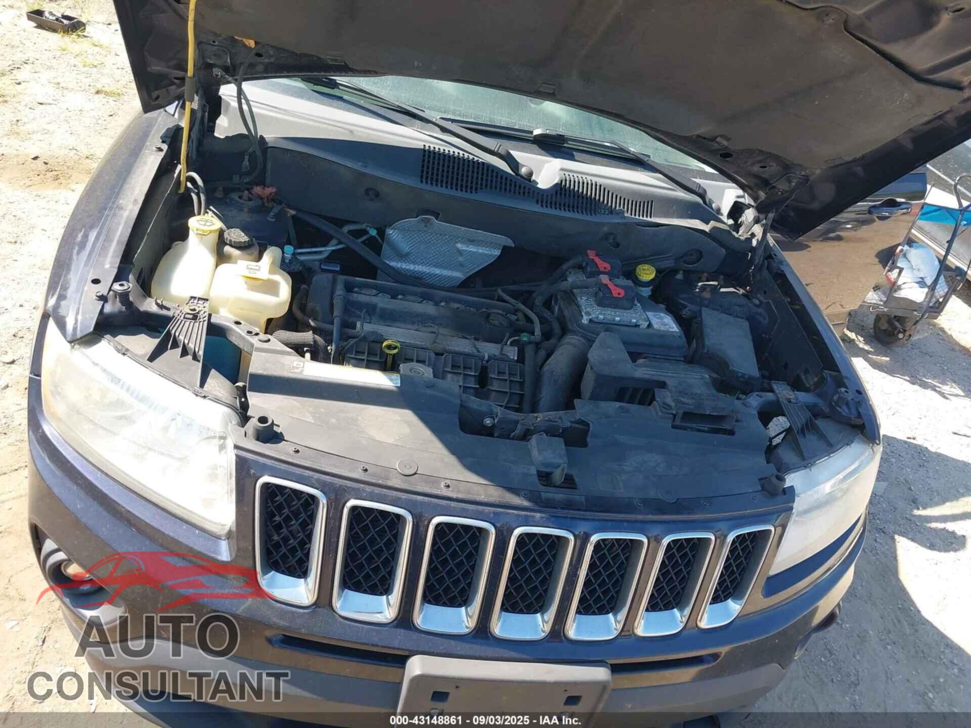JEEP COMPASS 2011 - 1J4NT1FA5BD213549