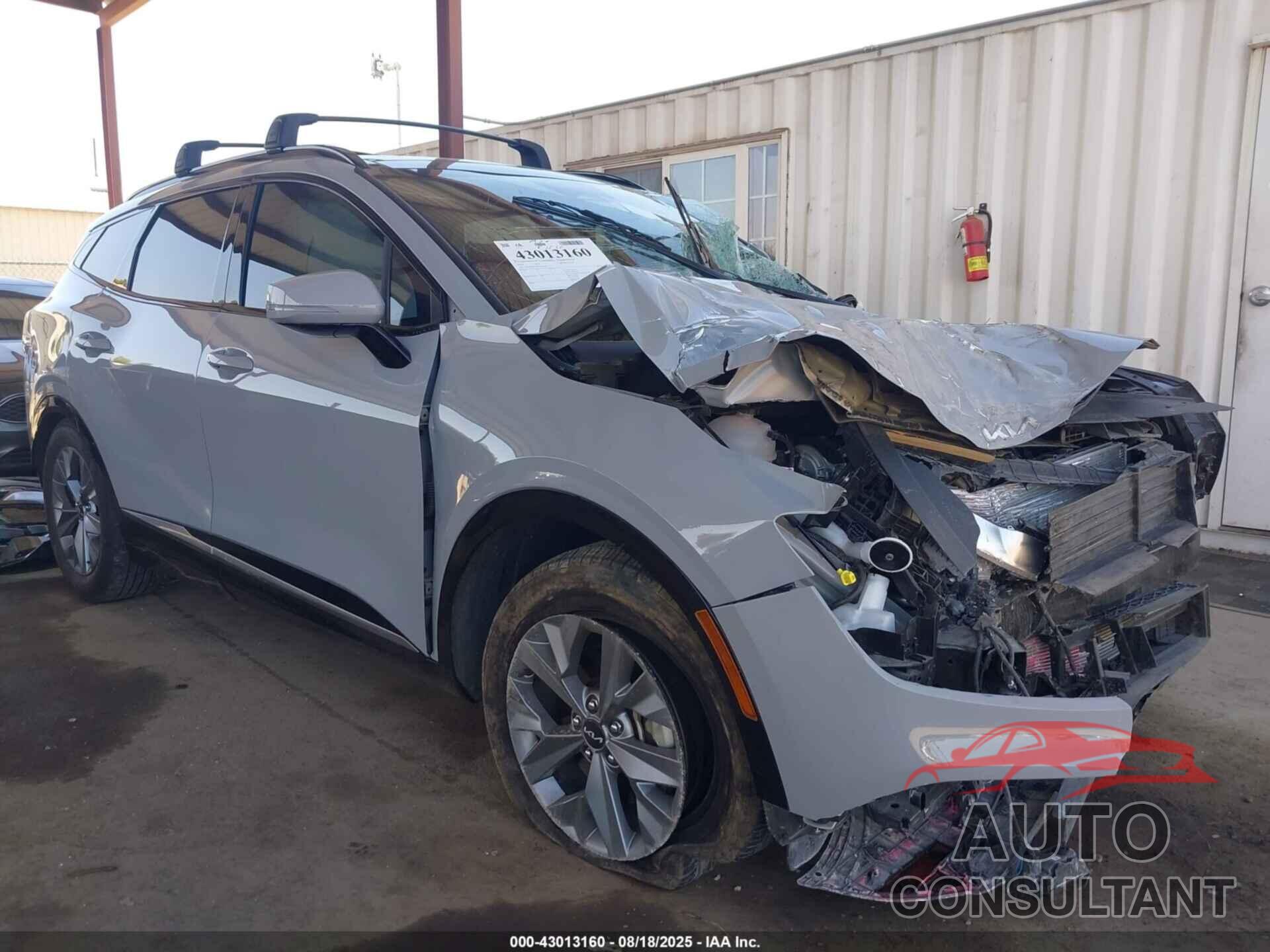 KIA SPORTAGE 2024 - 5XYK43DF4RG232248