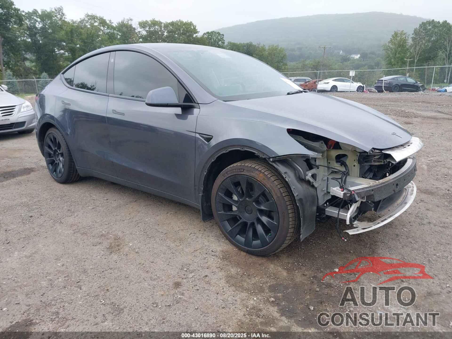 TESLA MODEL Y 2023 - 7SAYGDEE3PF696104