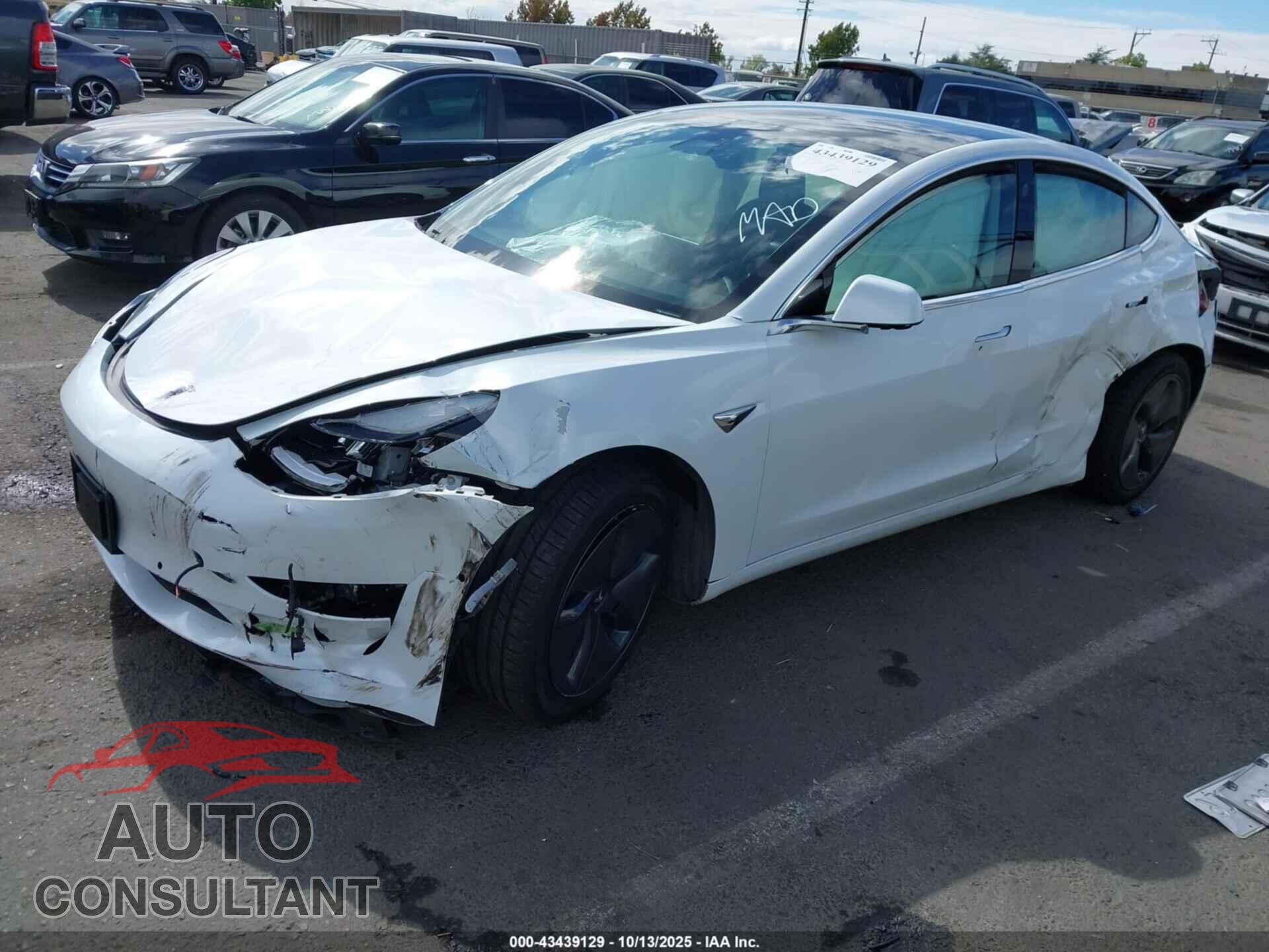 TESLA MODEL 3 2019 - 5YJ3E1EA2KF484084