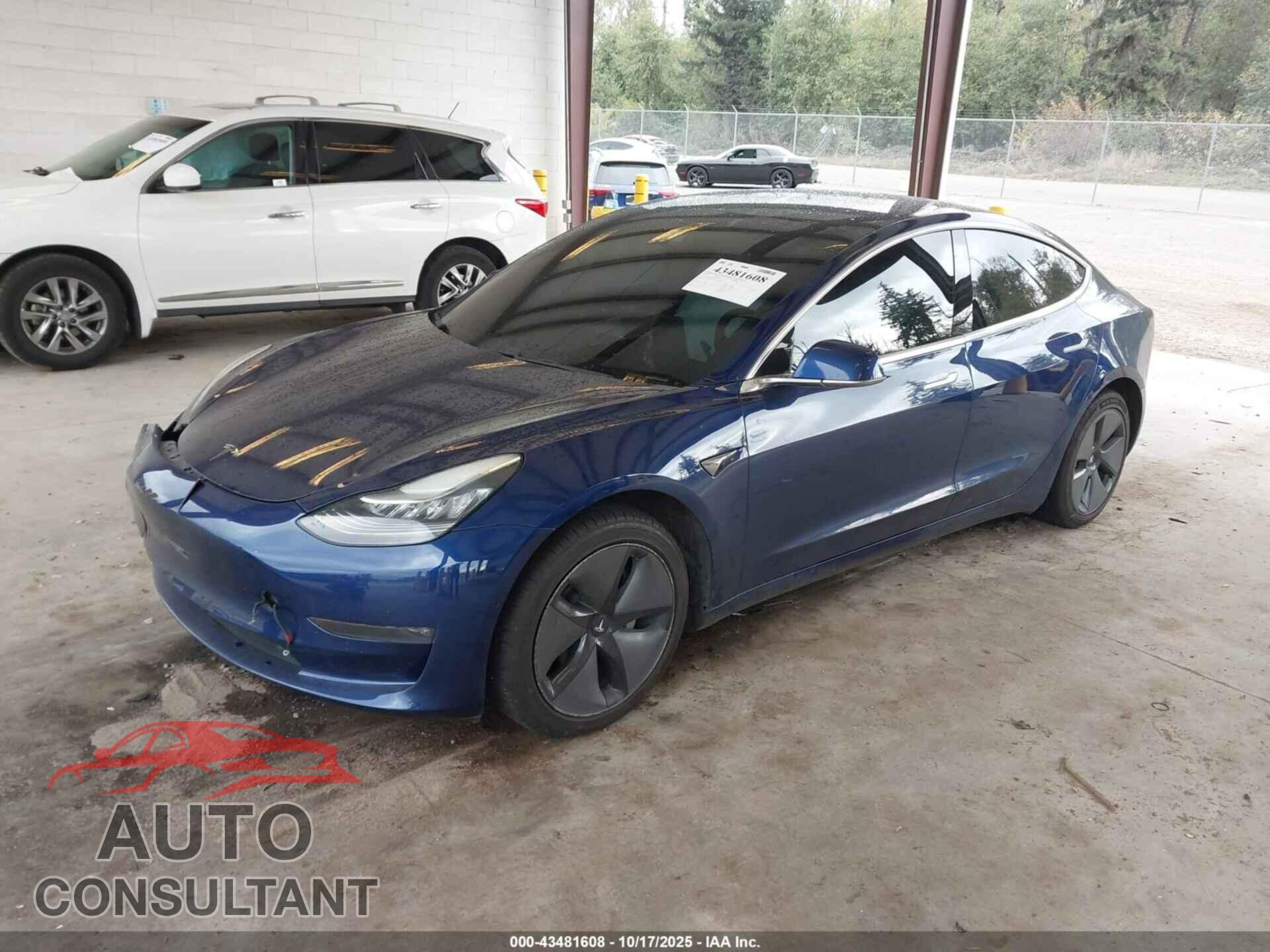 TESLA MODEL 3 2019 - 5YJ3E1EB2KF406767