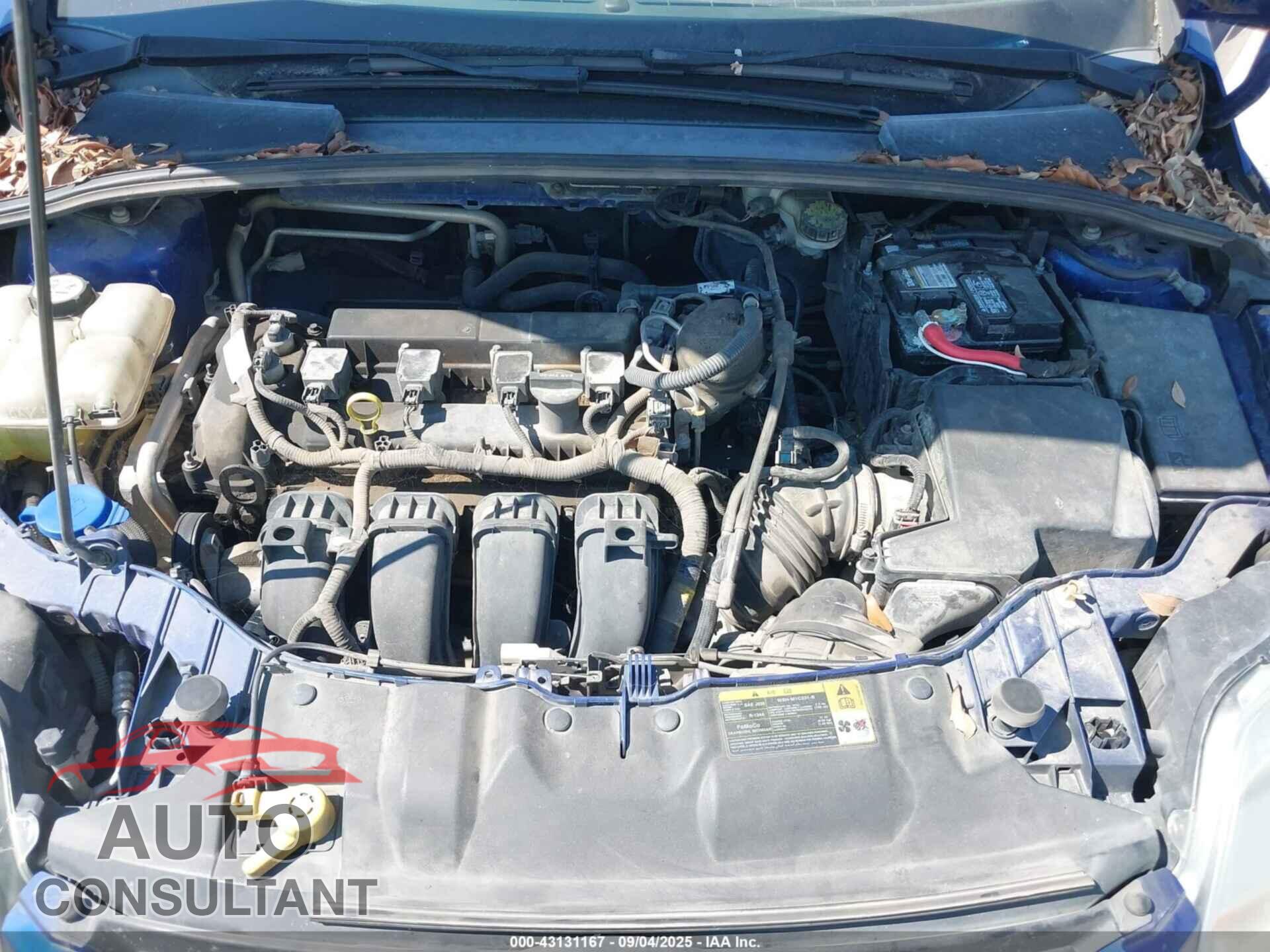 FORD FOCUS 2012 - 1FAHP3E25CL336908