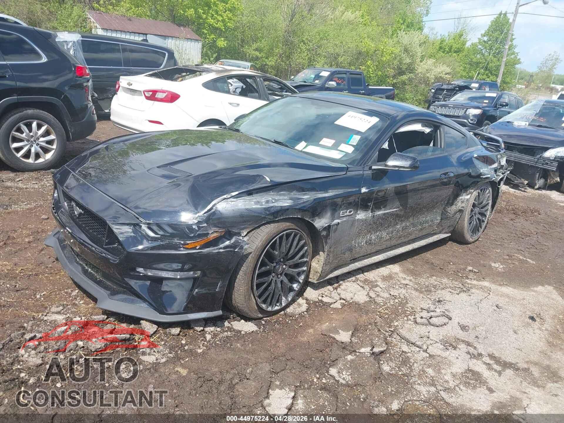 FORD MUSTANG 2019 - 1FA6P8CF7K5166077