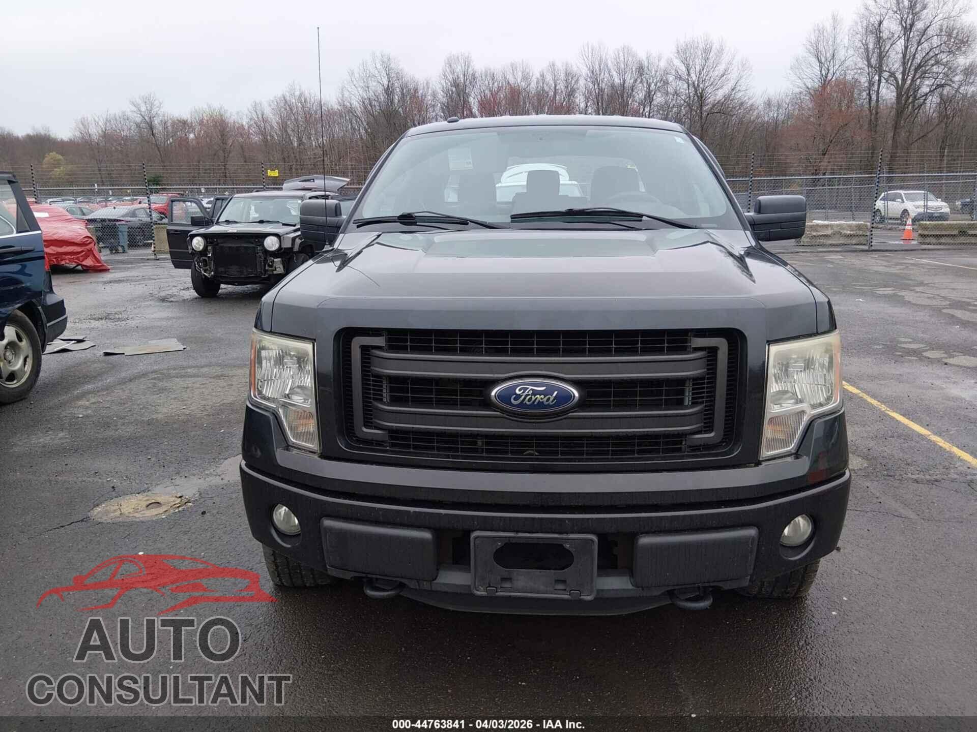 FORD F-150 2013 - 1FTFX1EFXDFD87460