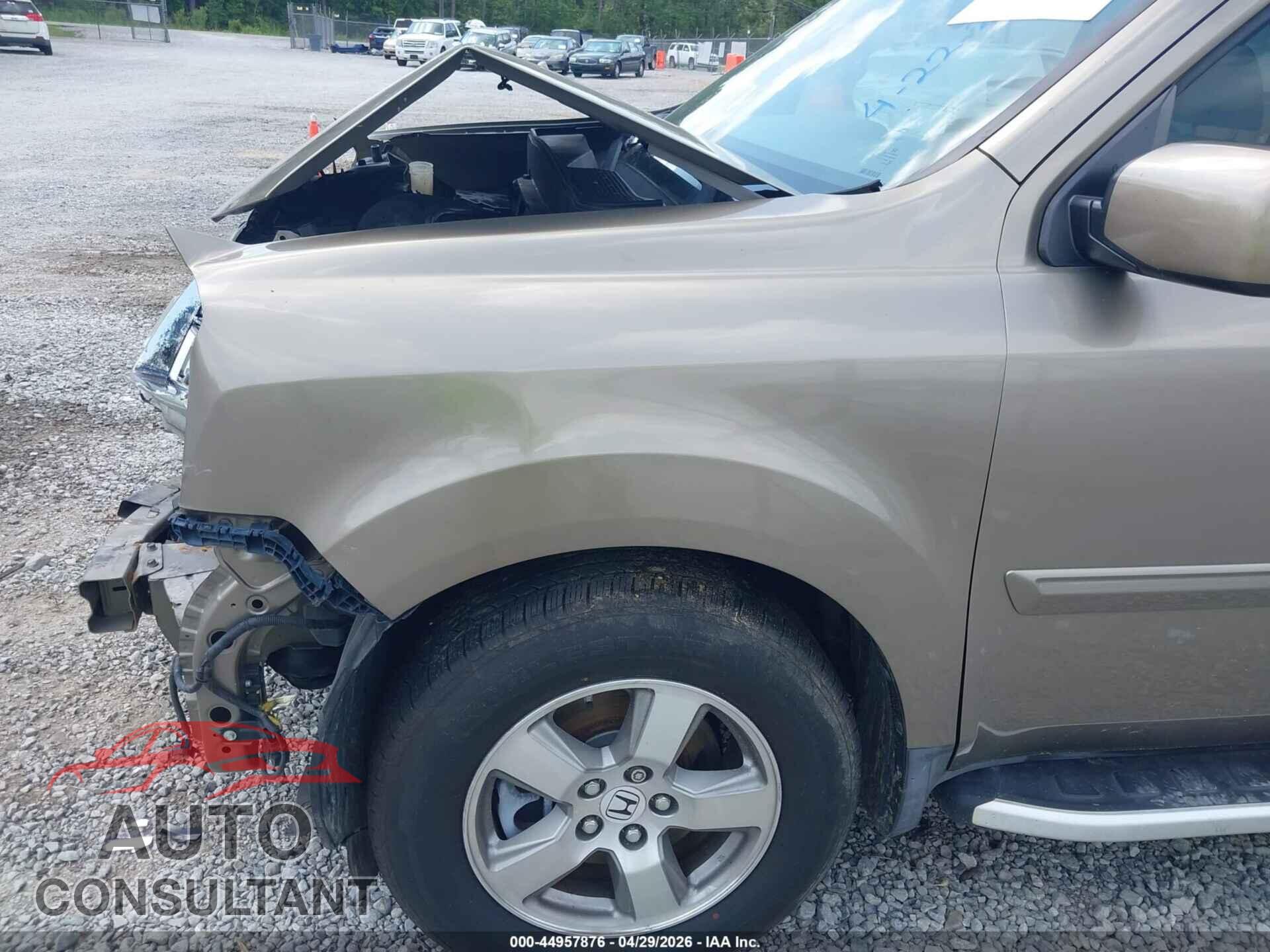 HONDA PILOT 2009 - 5FNYF38559B016602