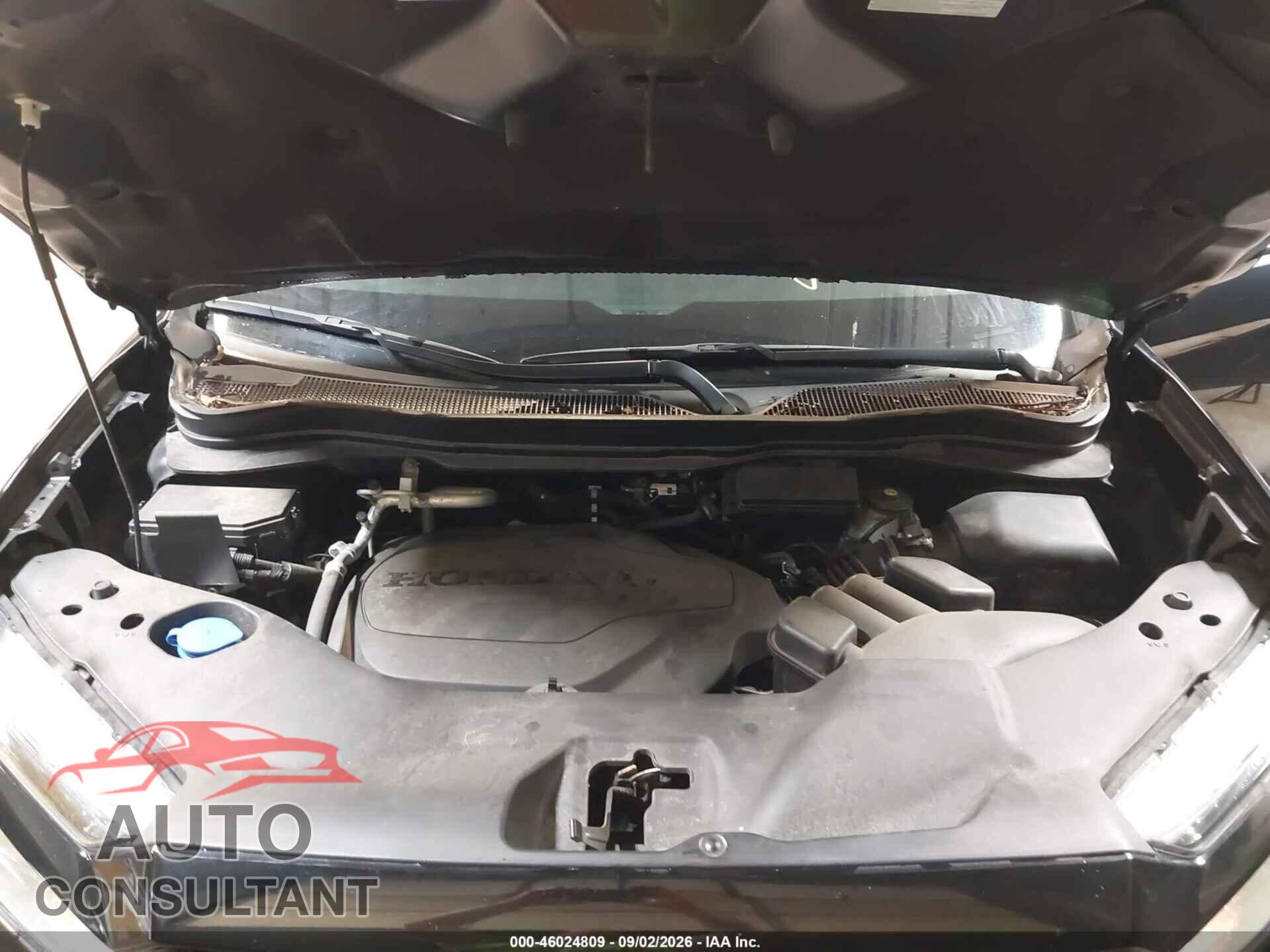HONDA RIDGELINE 2021 - 5FPYK3F14MB019356