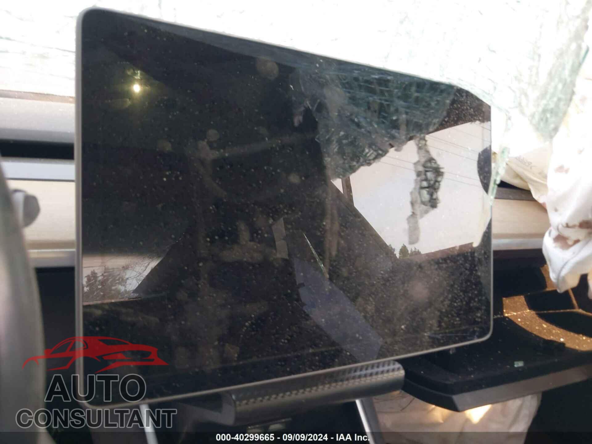 TESLA MODEL 3 2019 - 5YJ3E1EA4KF396427