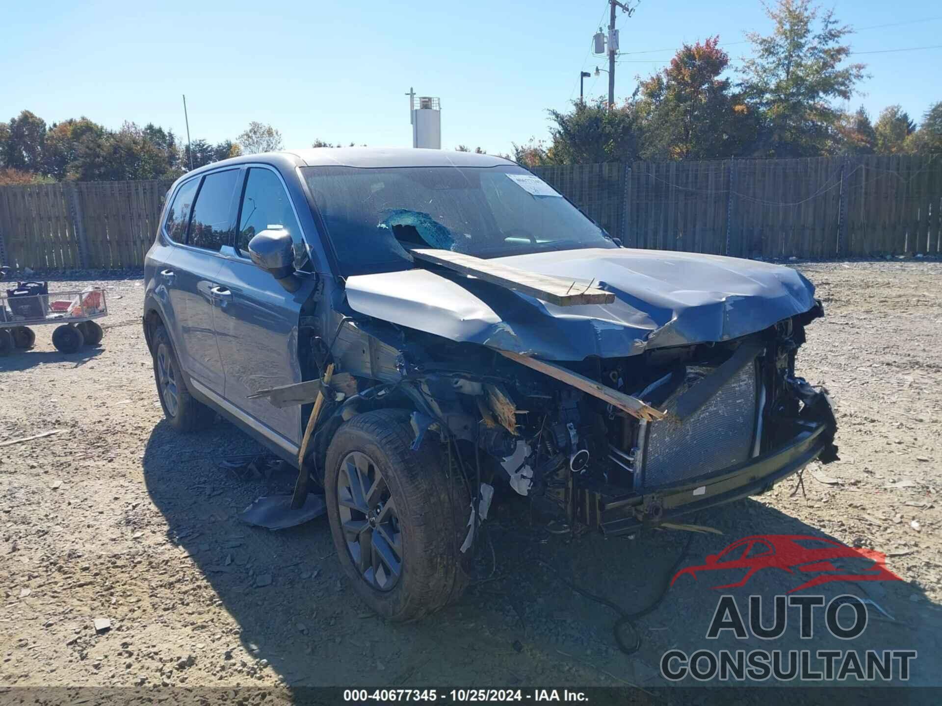 KIA TELLURIDE 2024 - 5XYP24GC0RG564089