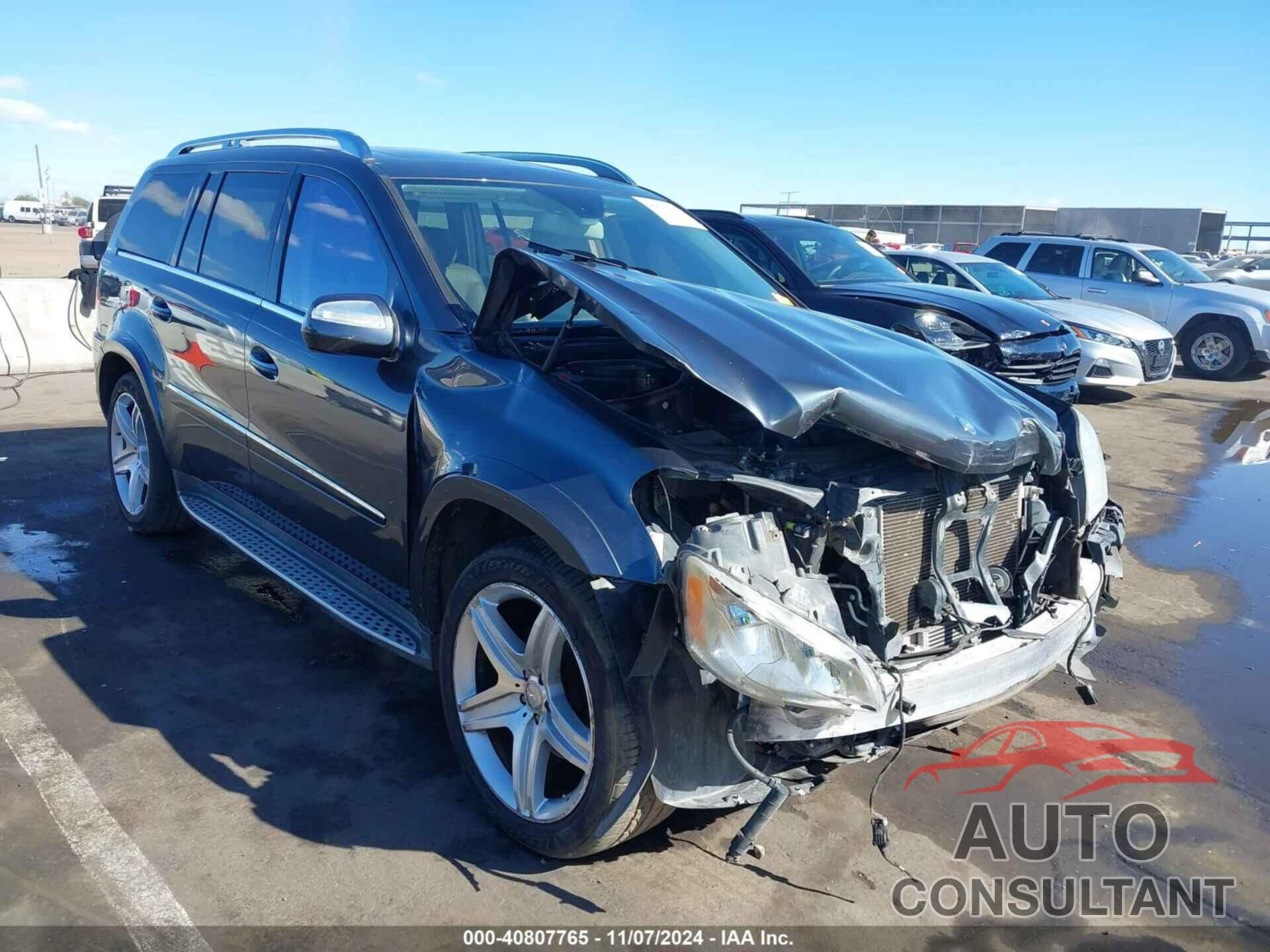 MERCEDES-BENZ GL 550 2010 - 4JGBF8GE0AA603593