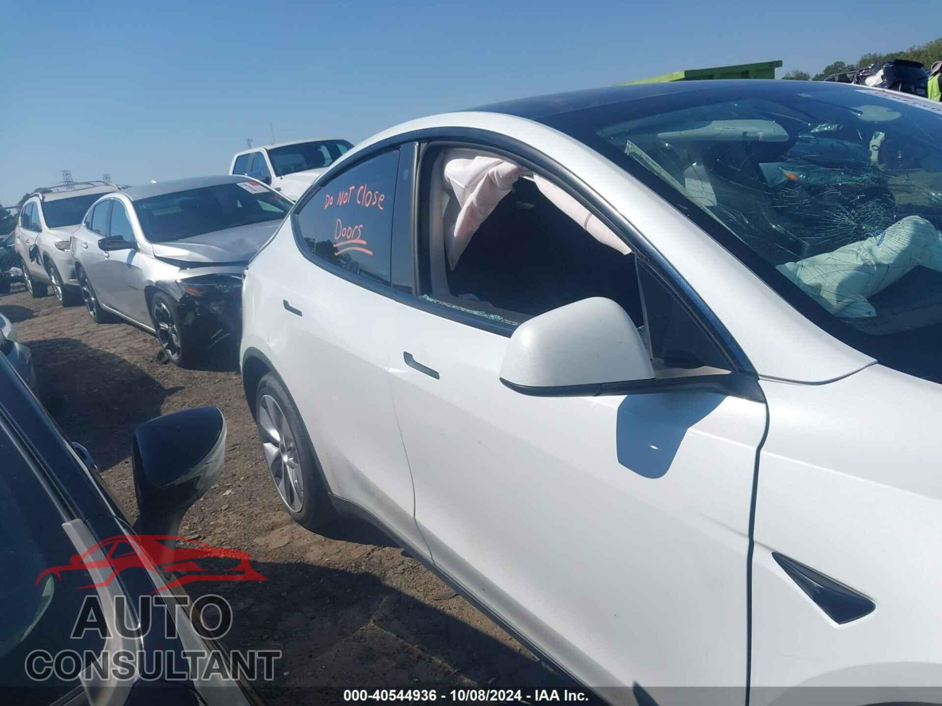 TESLA MODEL Y 2021 - 5YJYGDEEXMF174854