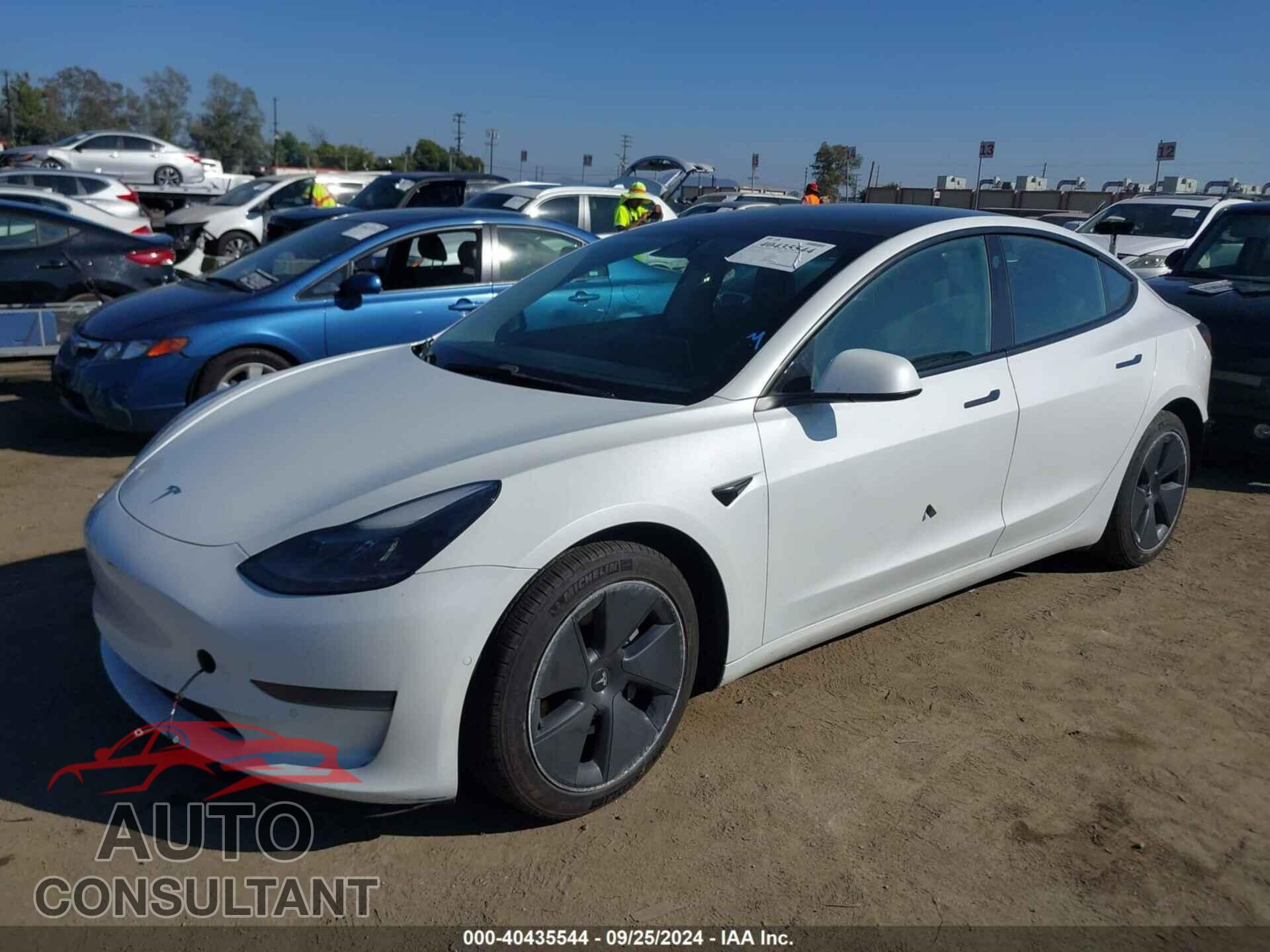 TESLA MODEL 3 2021 - 5YJ3E1EA1MF877366