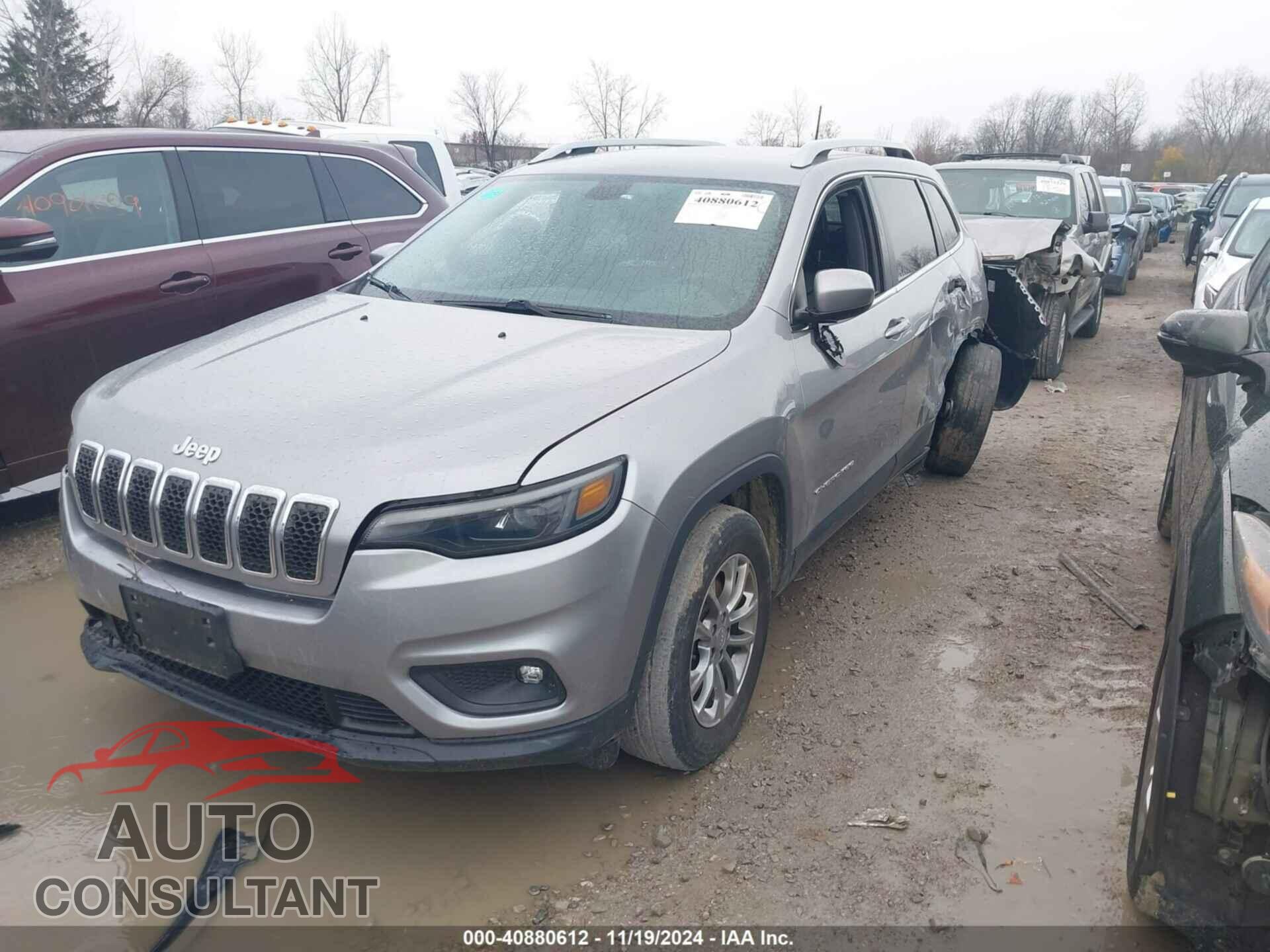 JEEP CHEROKEE 2019 - 1C4PJMLB1KD181119