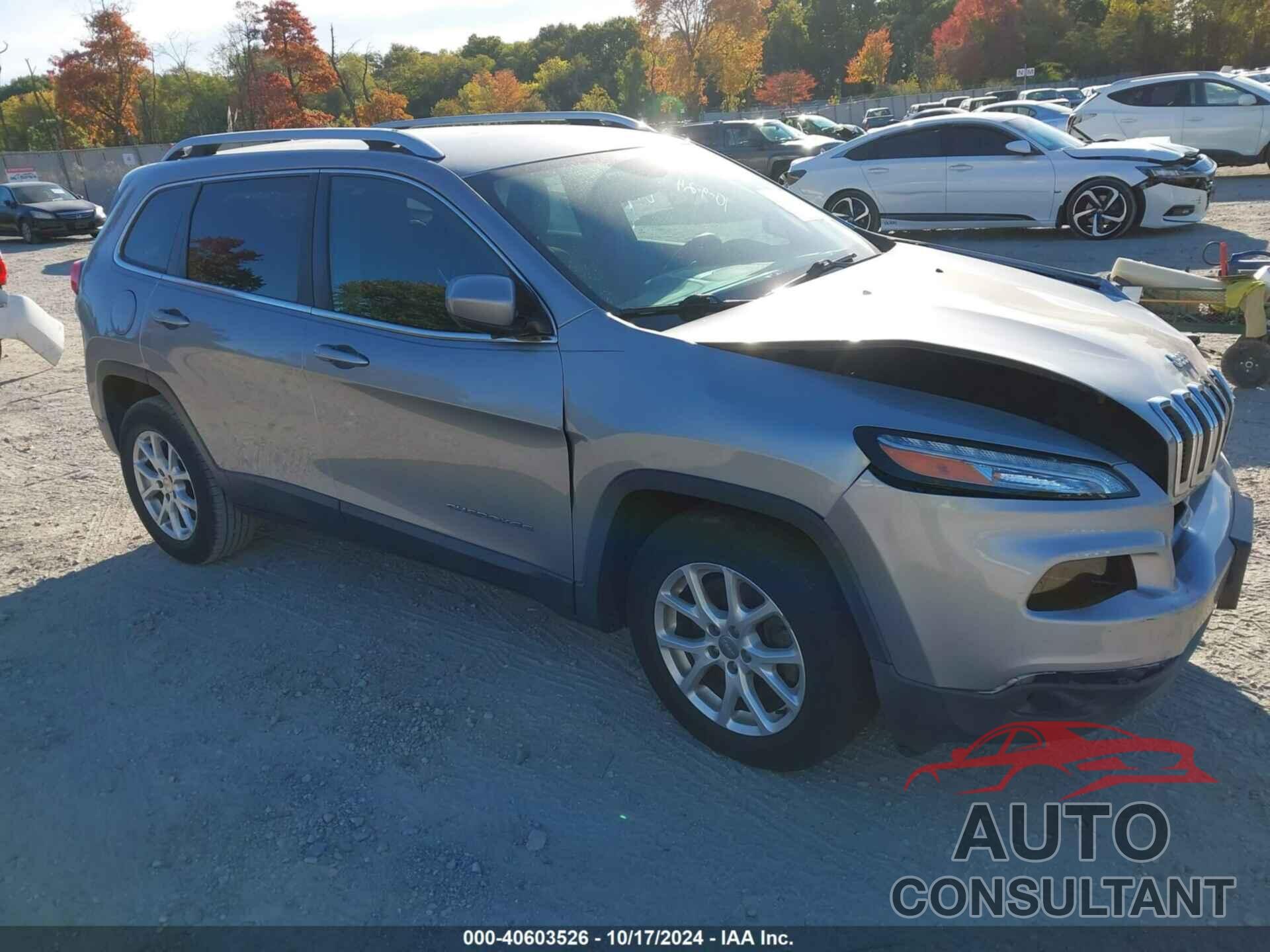 JEEP CHEROKEE 2016 - 1C4PJLCB4GW233753