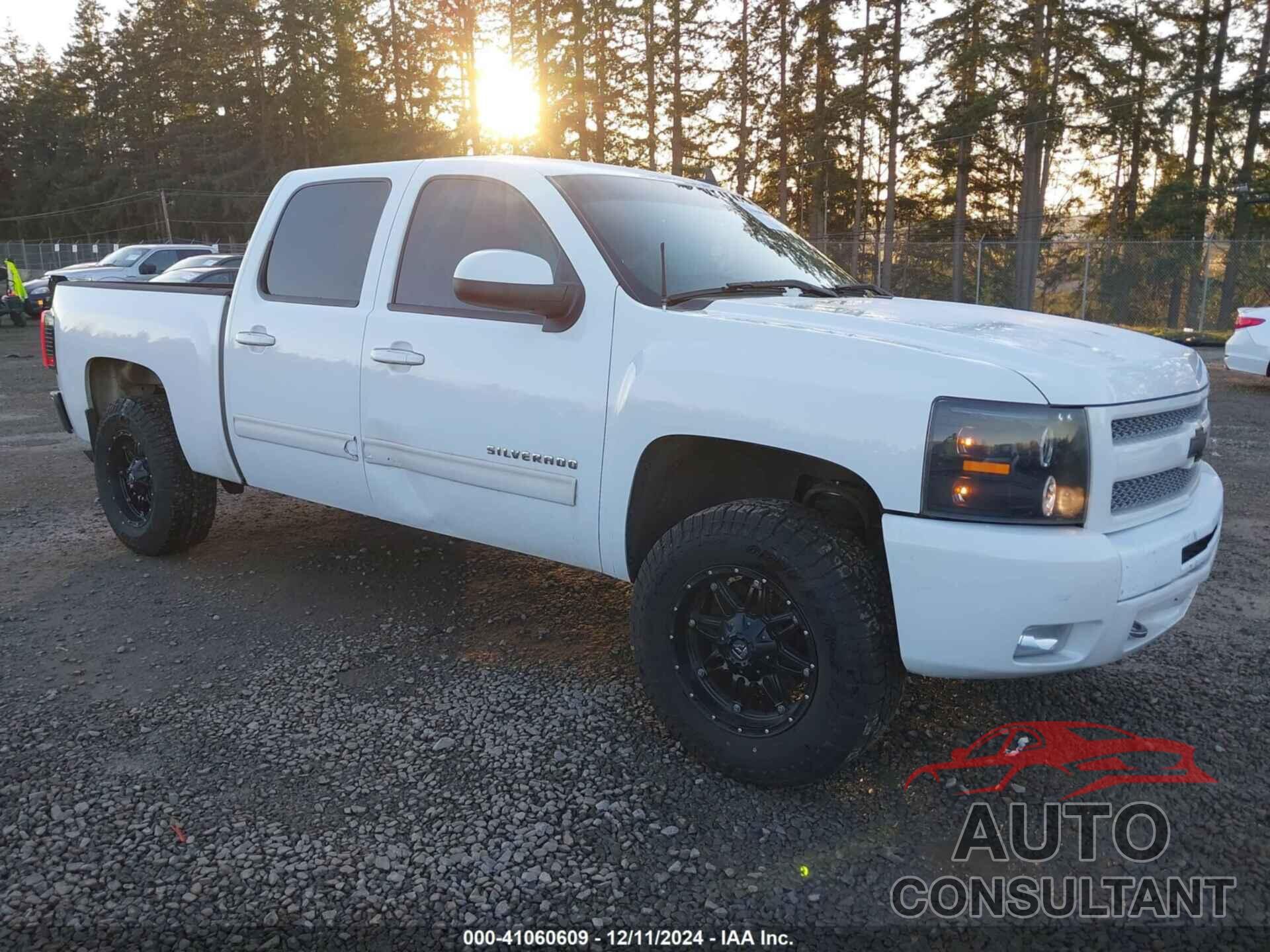 CHEVROLET SILVERADO 1500 2010 - 3GCRKSE33AG252242