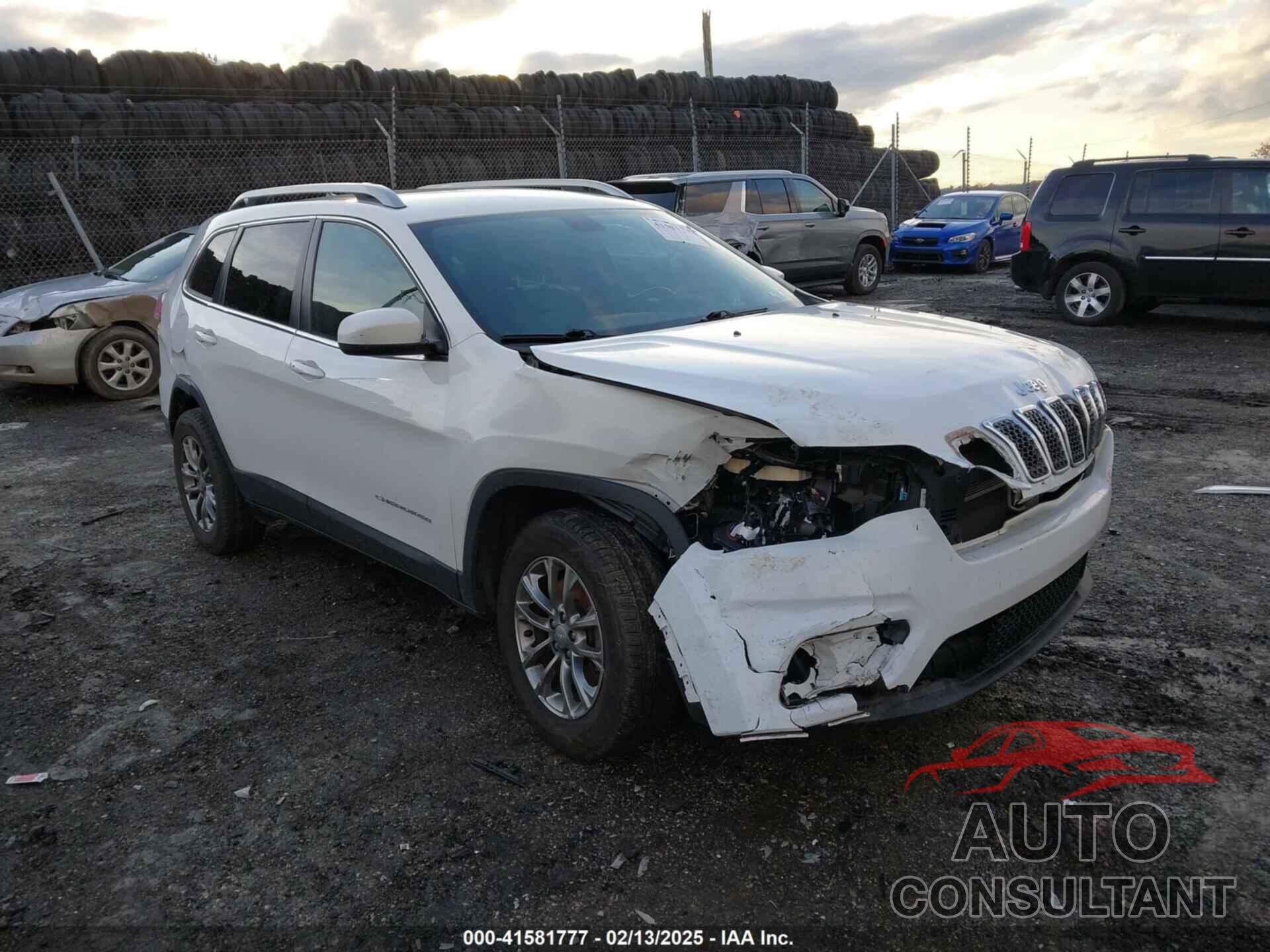 JEEP CHEROKEE 2019 - 1C4PJMLX2KD254946