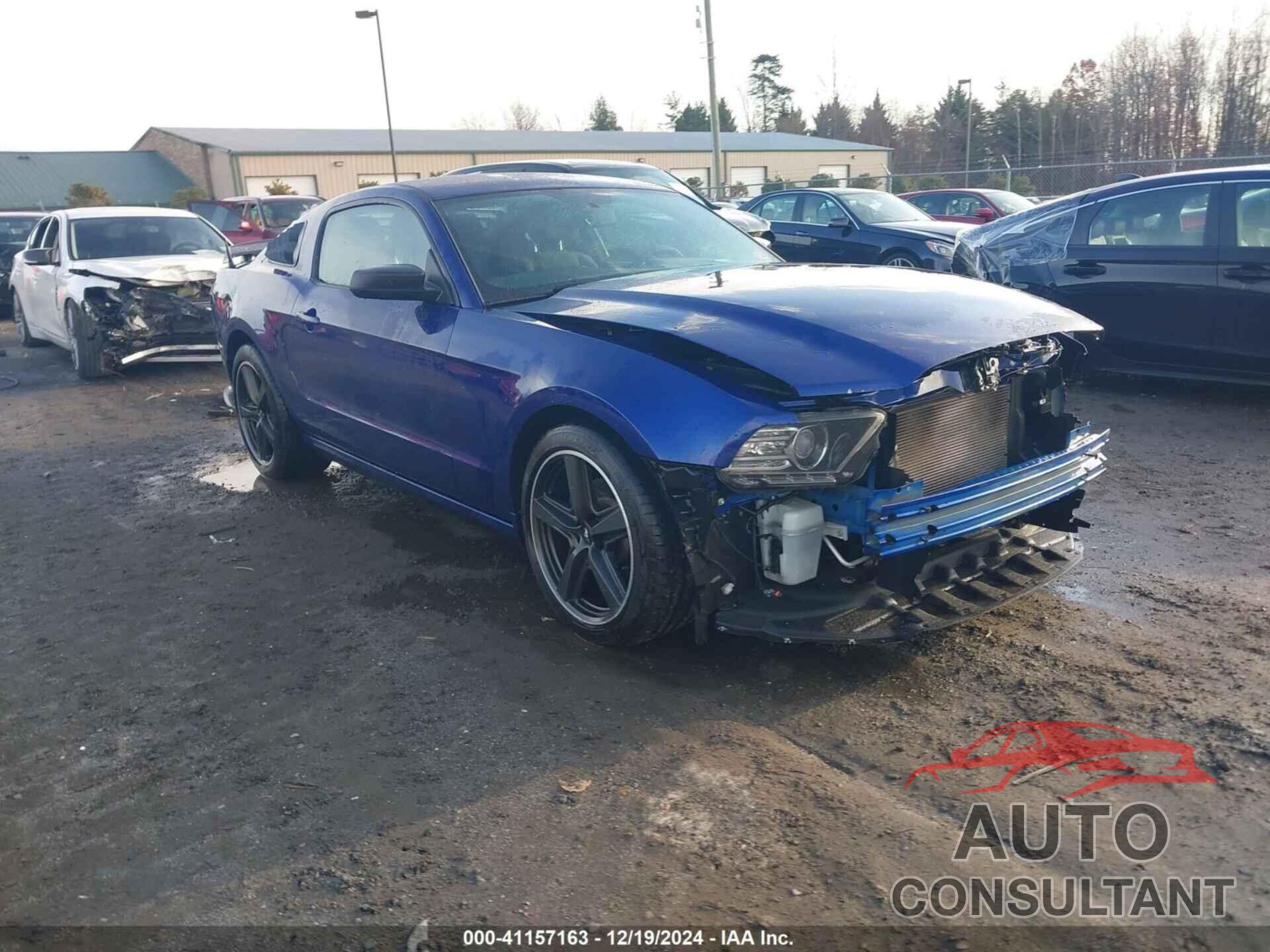 FORD MUSTANG 2014 - 1ZVBP8AM4E5298547