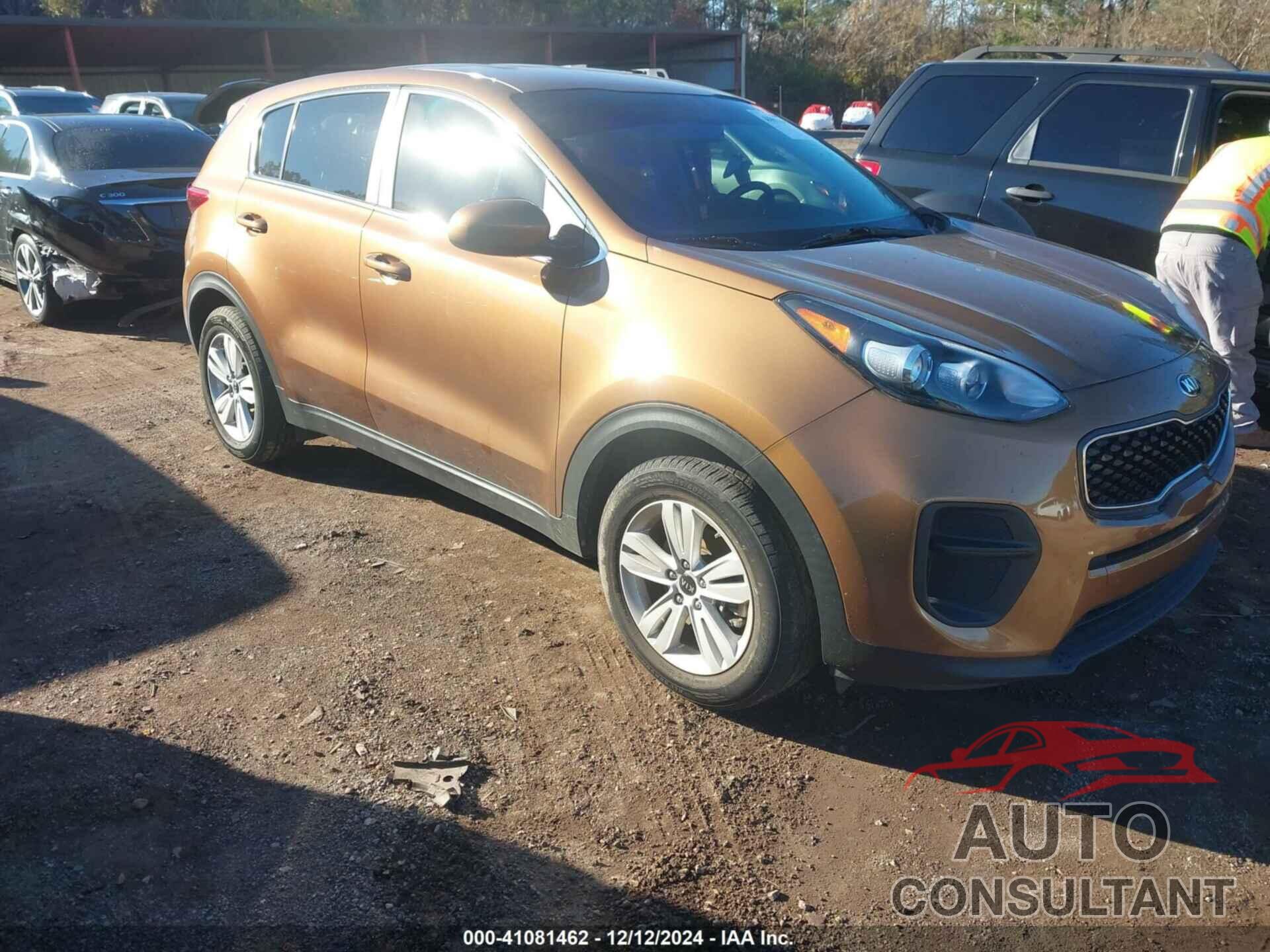 KIA SPORTAGE 2019 - KNDPM3AC2K7580035