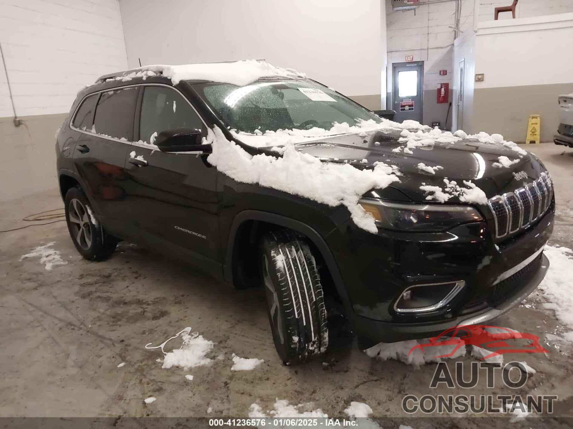JEEP CHEROKEE 2019 - 1C4PJMDX0KD199749