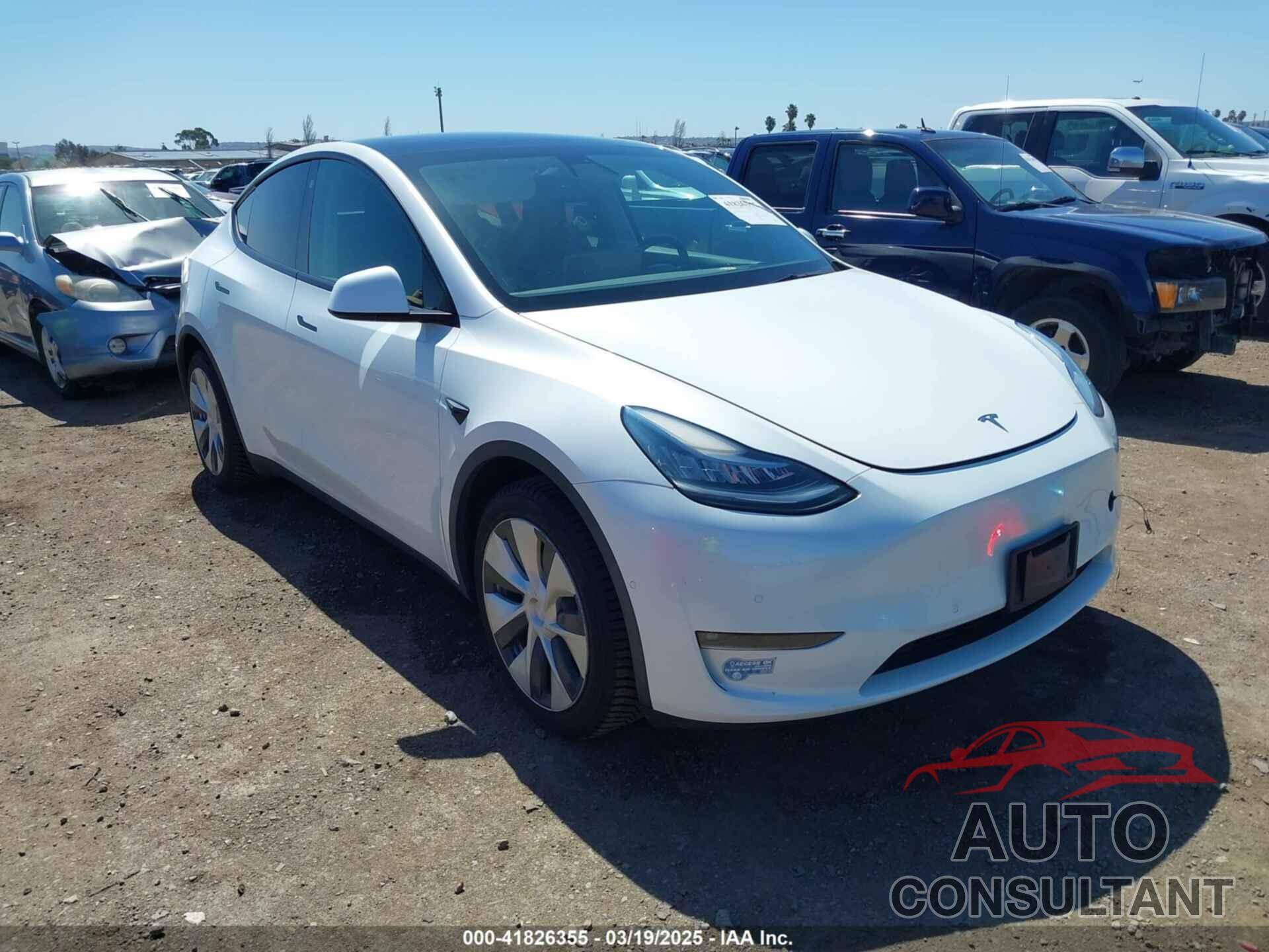 TESLA MODEL Y 2021 - 5YJYGAEE3MF172961