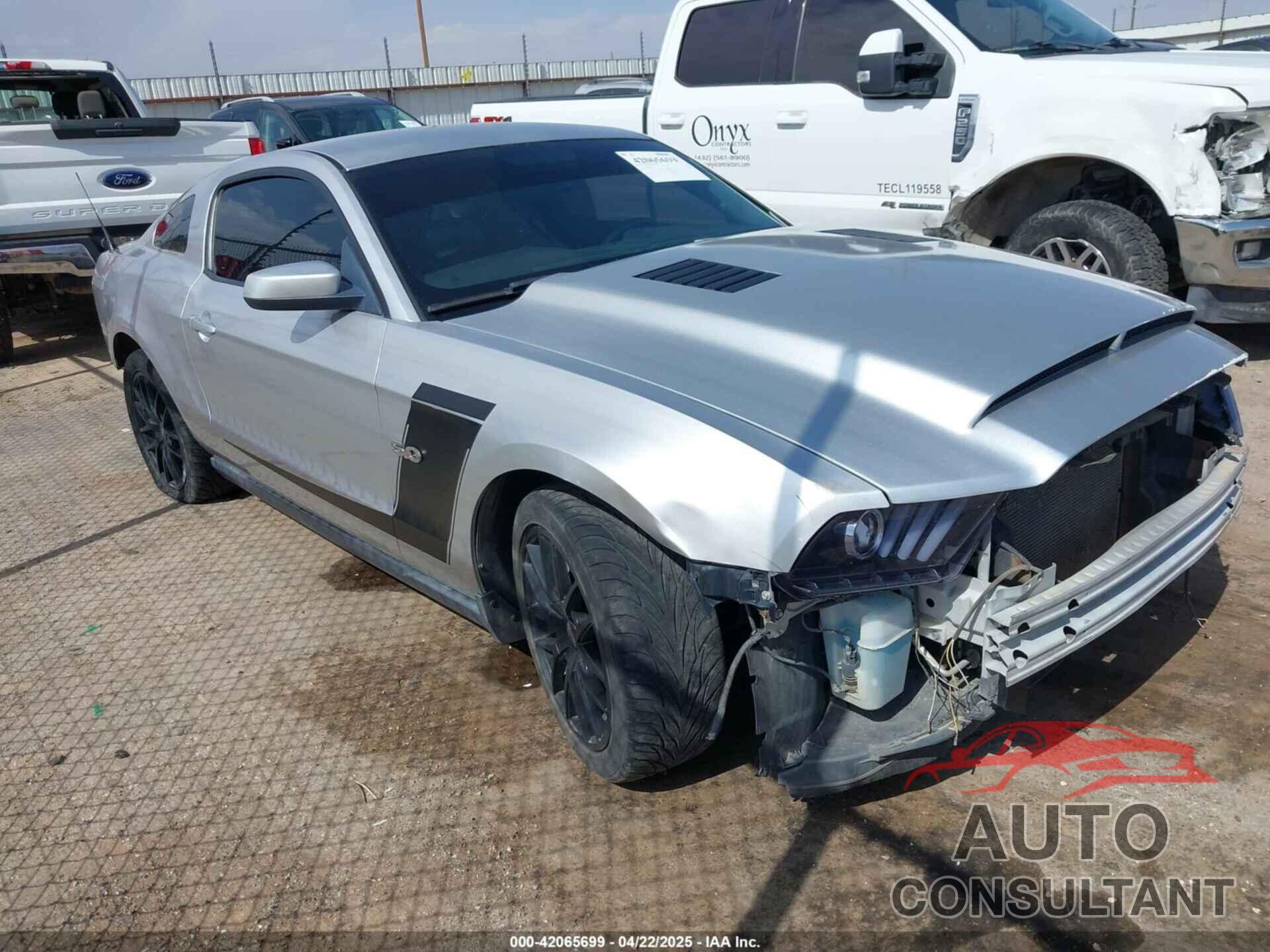 FORD MUSTANG 2011 - 1ZVBP8CF1B5150012