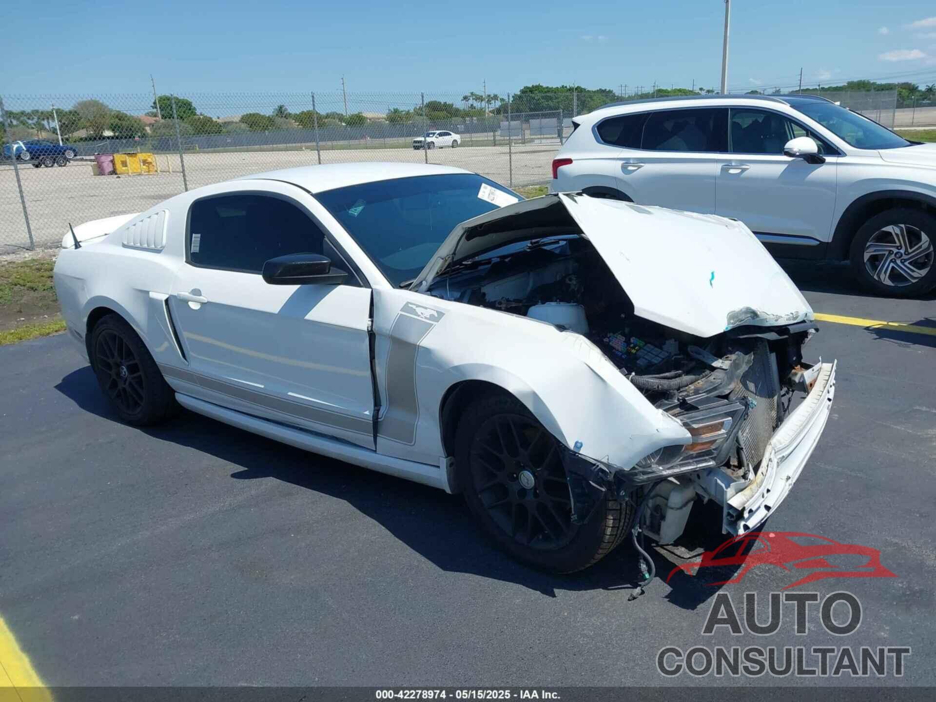 FORD MUSTANG 2014 - 1ZVBP8AM8E5277944