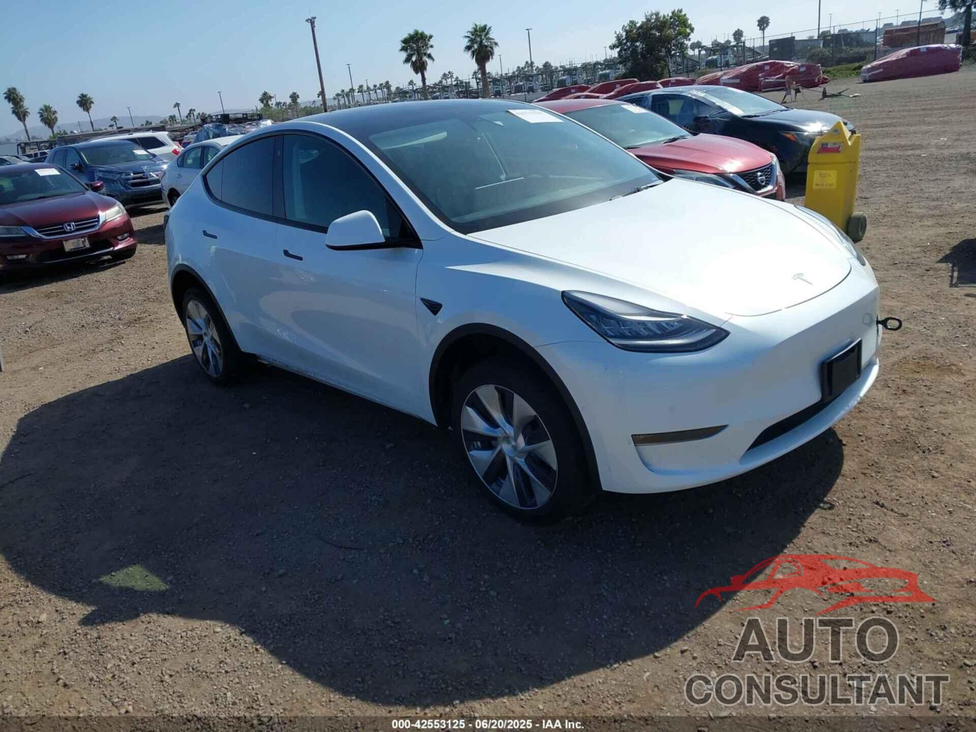 TESLA MODEL Y 2021 - 5YJYGDEE7MF085758