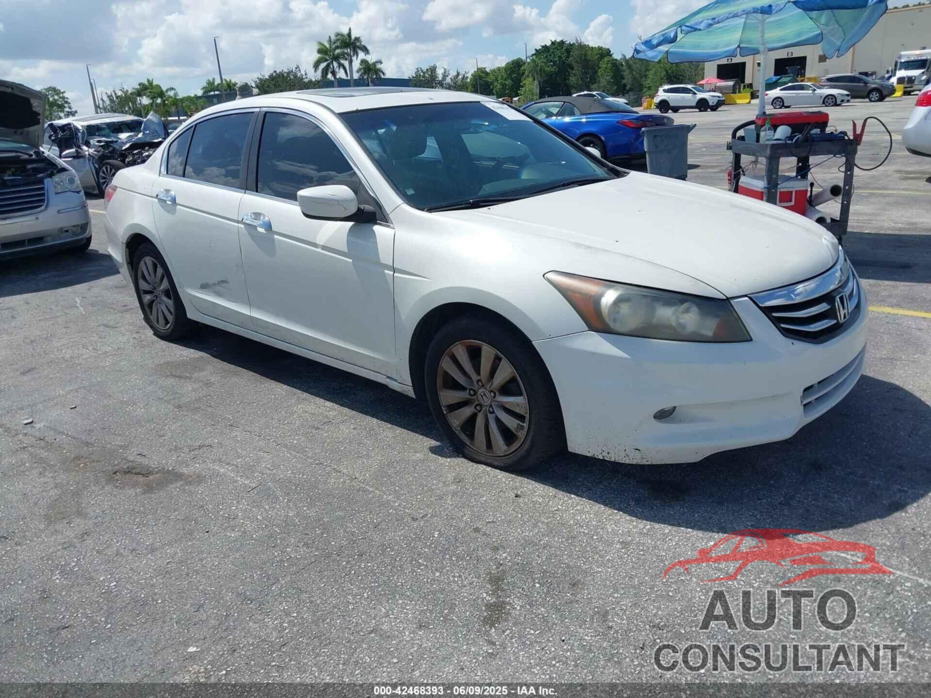HONDA ACCORD 2011 - 5KBCP3F80BB002022