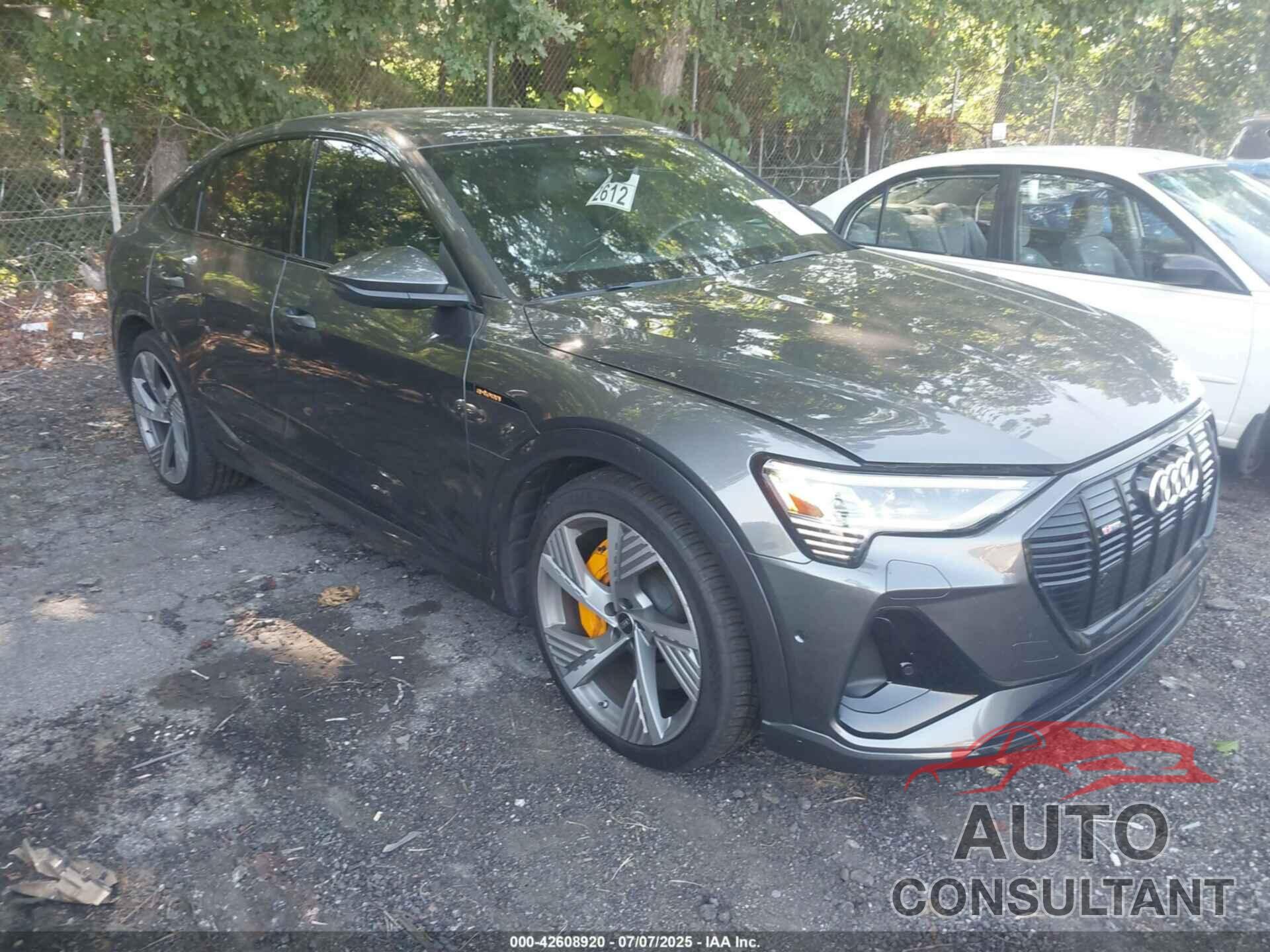AUDI E-TRON SPORTBACK 2023 - WA13ABGE8PB004782