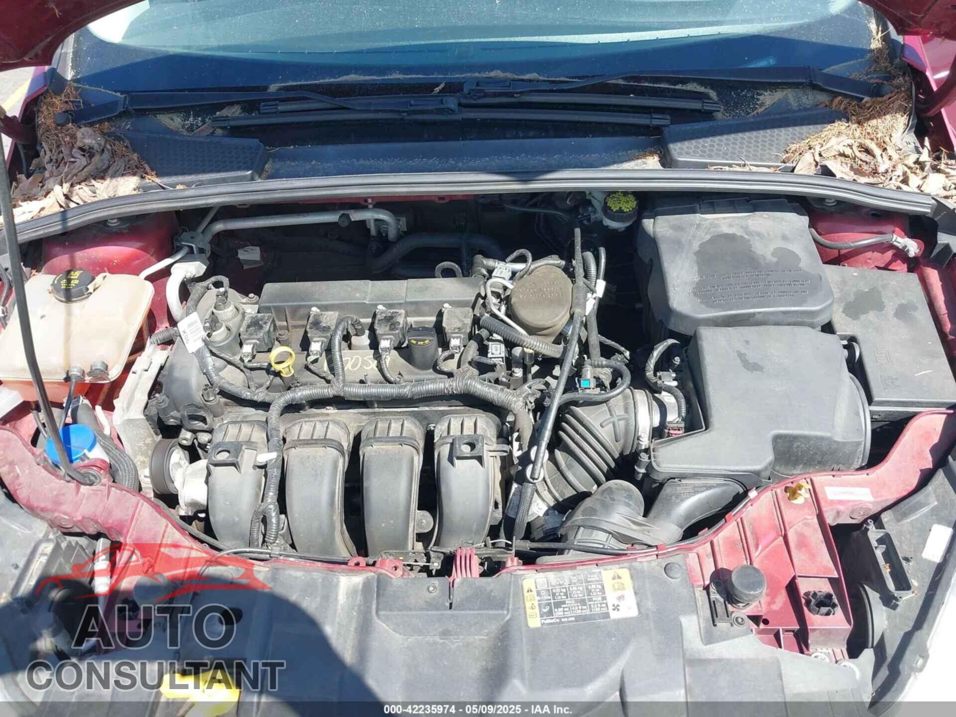 FORD FOCUS 2016 - 1FADP3K20GL234537